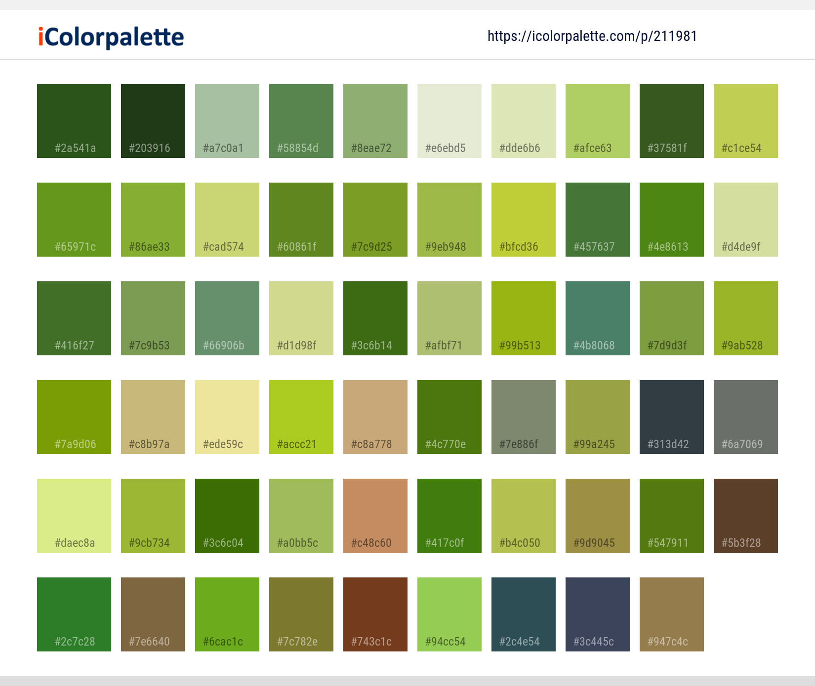 Color Palette Ideas from Plant Flower Parsley Family Image | iColorpalette