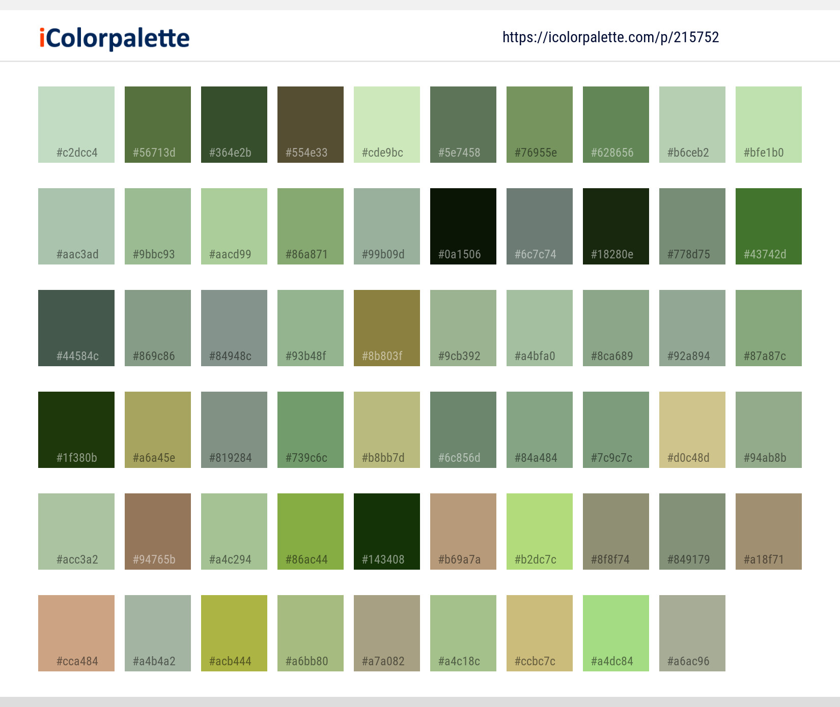 Color Palette Ideas from Plant Aloe Thorns Spines And Prickles Image ...