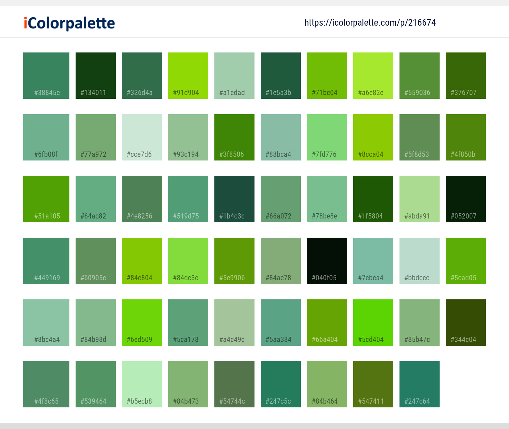 Color Palette Ideas from Green Fruit Apple Image | iColorpalette