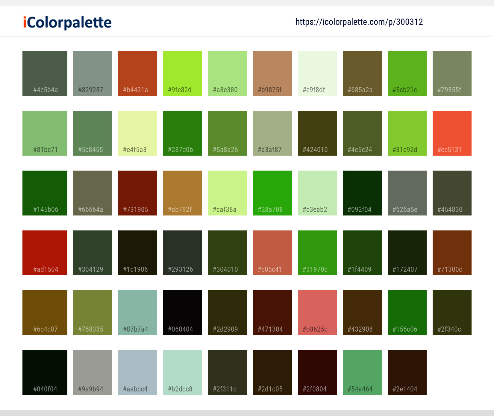 Color Palette Ideas from Vegetation Woodland Nature Image | iColorpalette