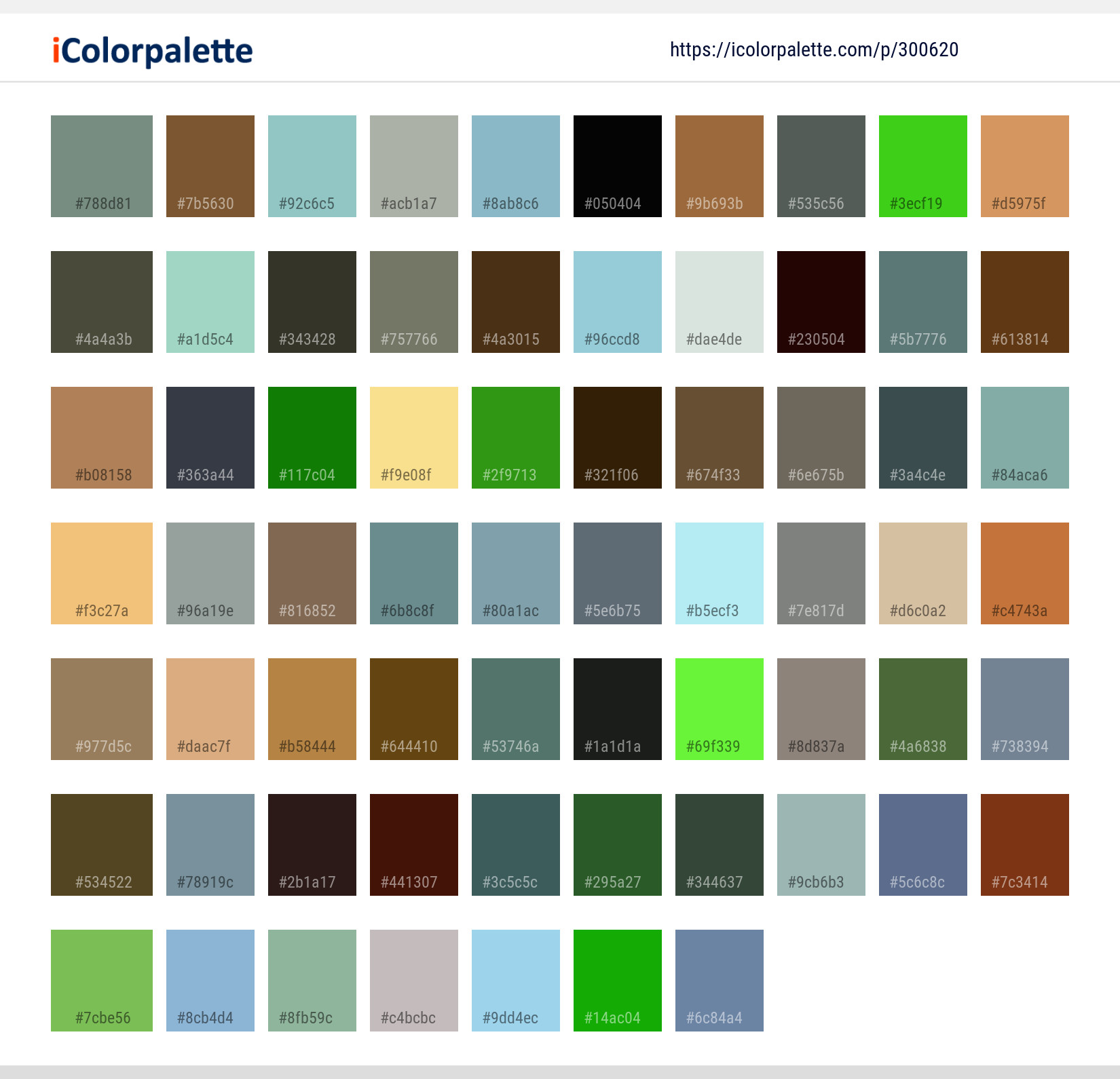 Color Palette Ideas from Dog Like Mammal Image | iColorpalette