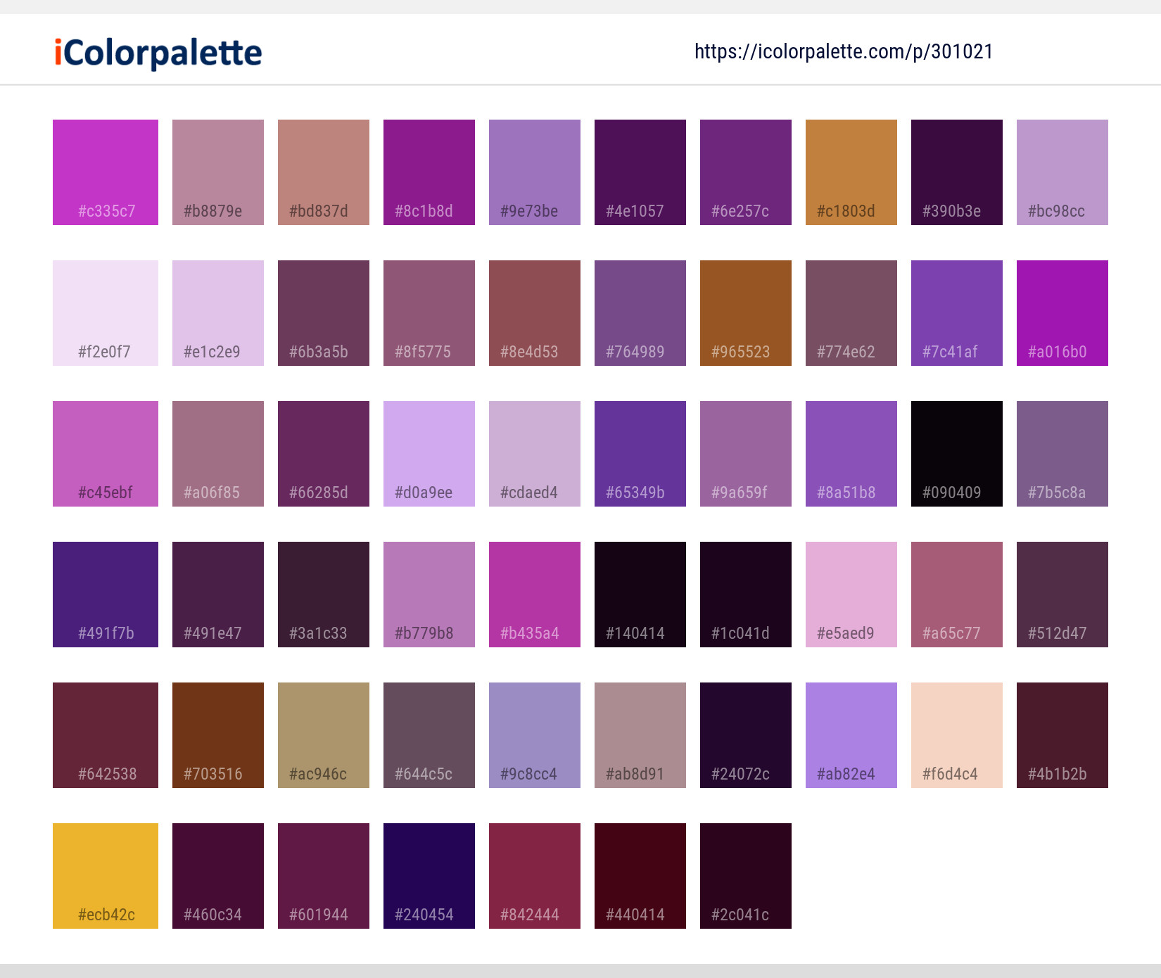 Color Palette Ideas from Flower Purple Violet Image | iColorpalette