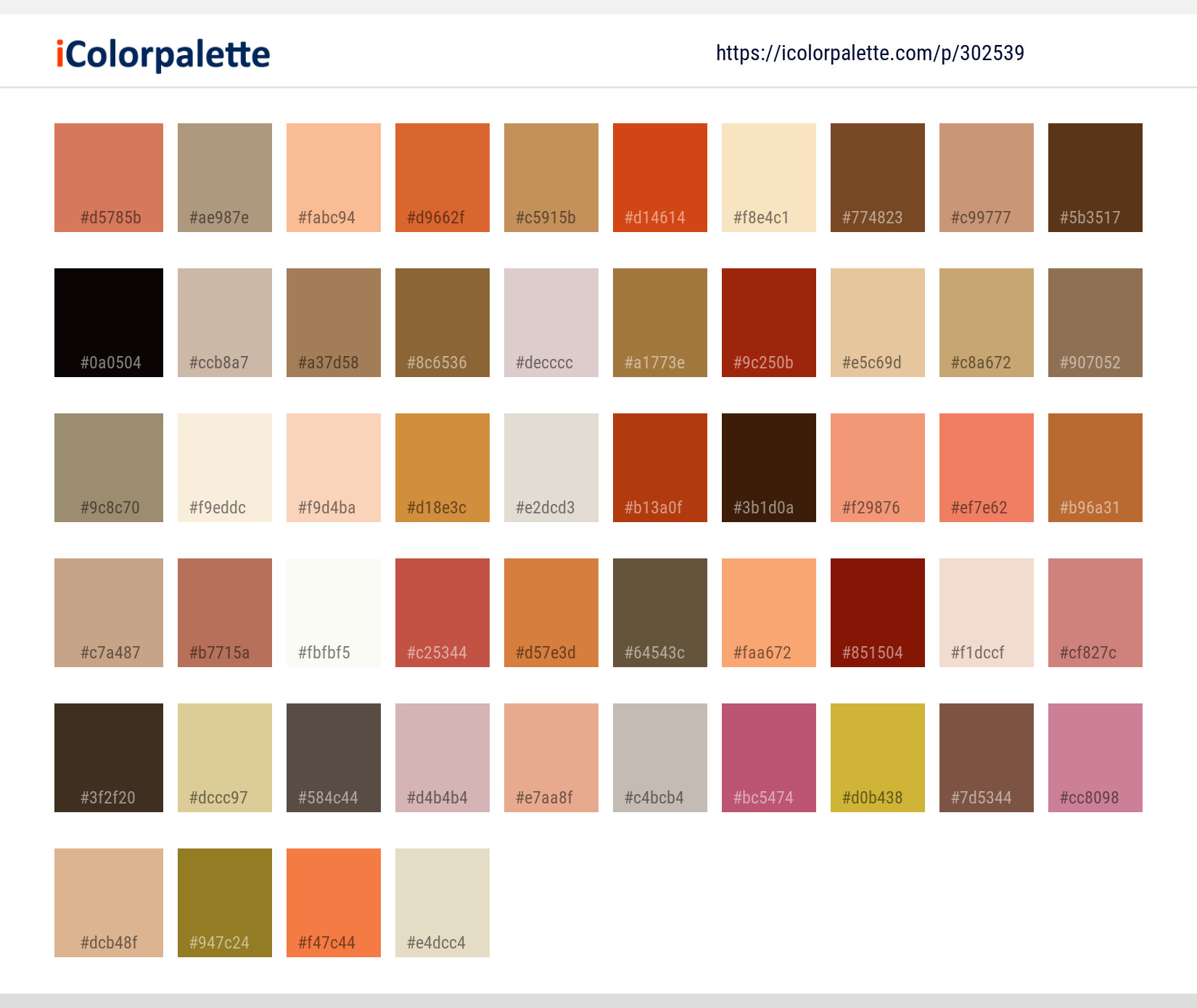 Color Palette Ideas from Beak Flamingo Water Bird Image | iColorpalette