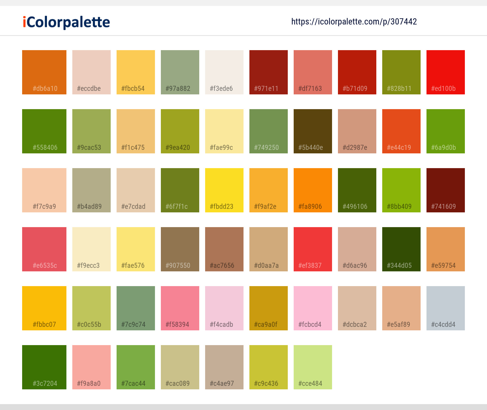 Color Palette Ideas from Natural Foods Vegetable Paprika Image