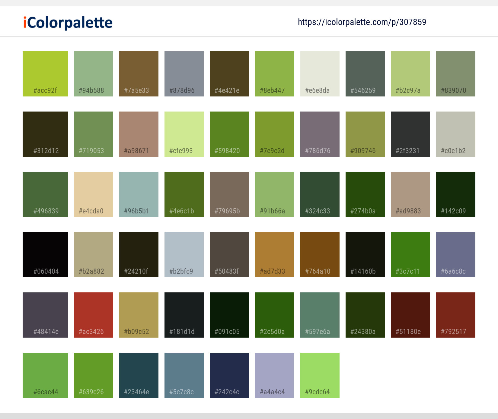 Color Palette Ideas from Ecosystem Grass Plant Image | iColorpalette