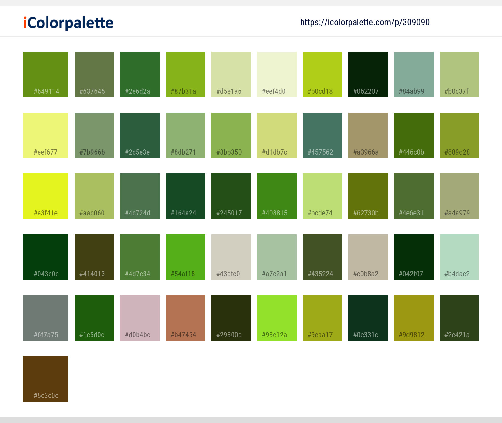 Color Palette Ideas from Grass Plant Family Image | iColorpalette
