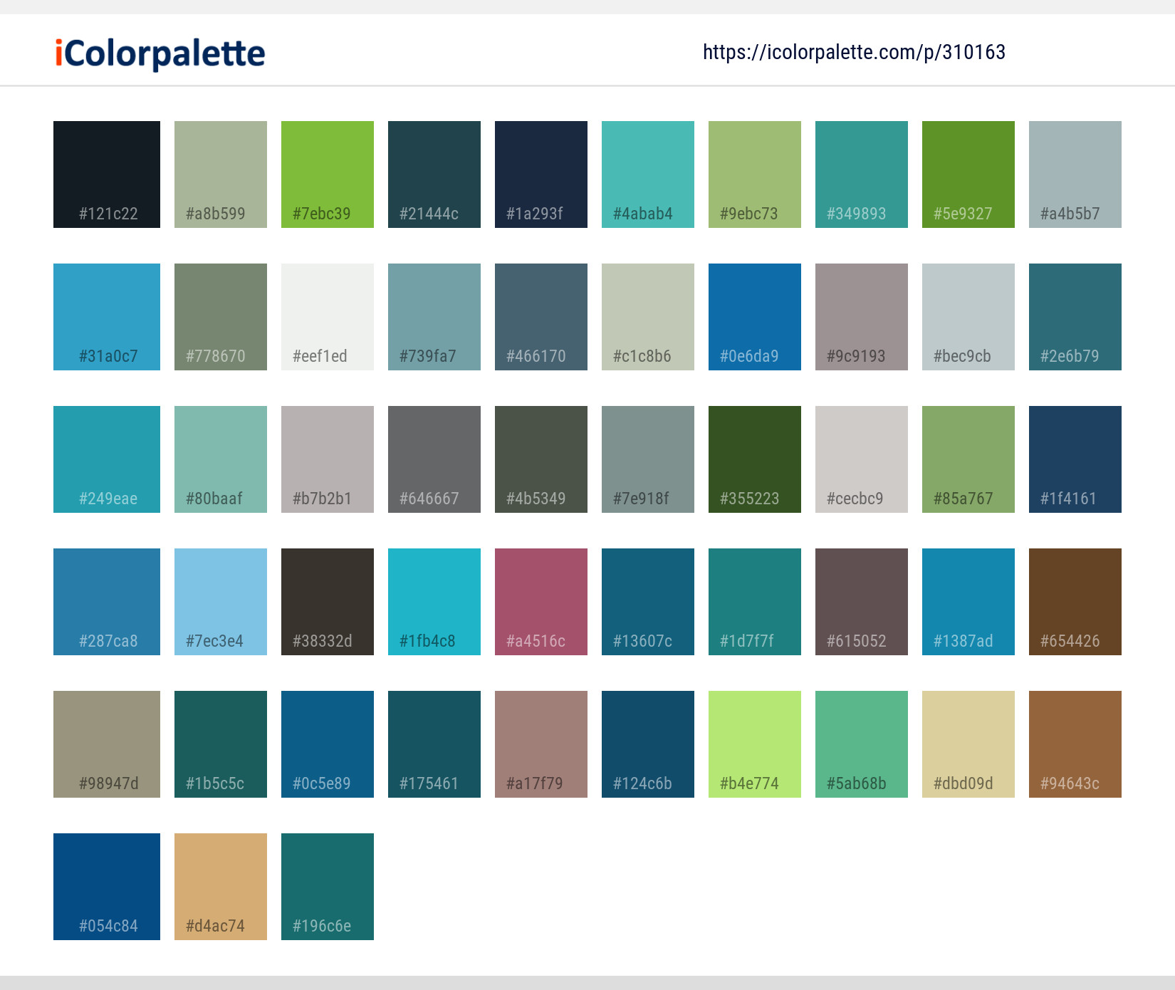 Color Palette Ideas from Water Sea Promontory Image | iColorpalette