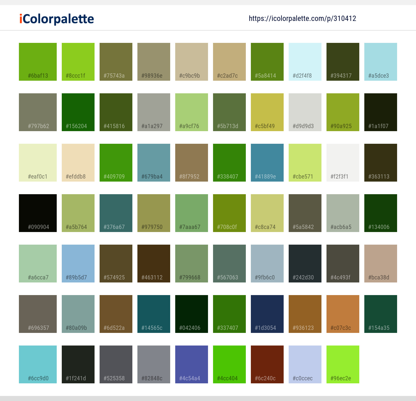 Color Palette Ideas from Horse Tree Woody Plant Image | iColorpalette