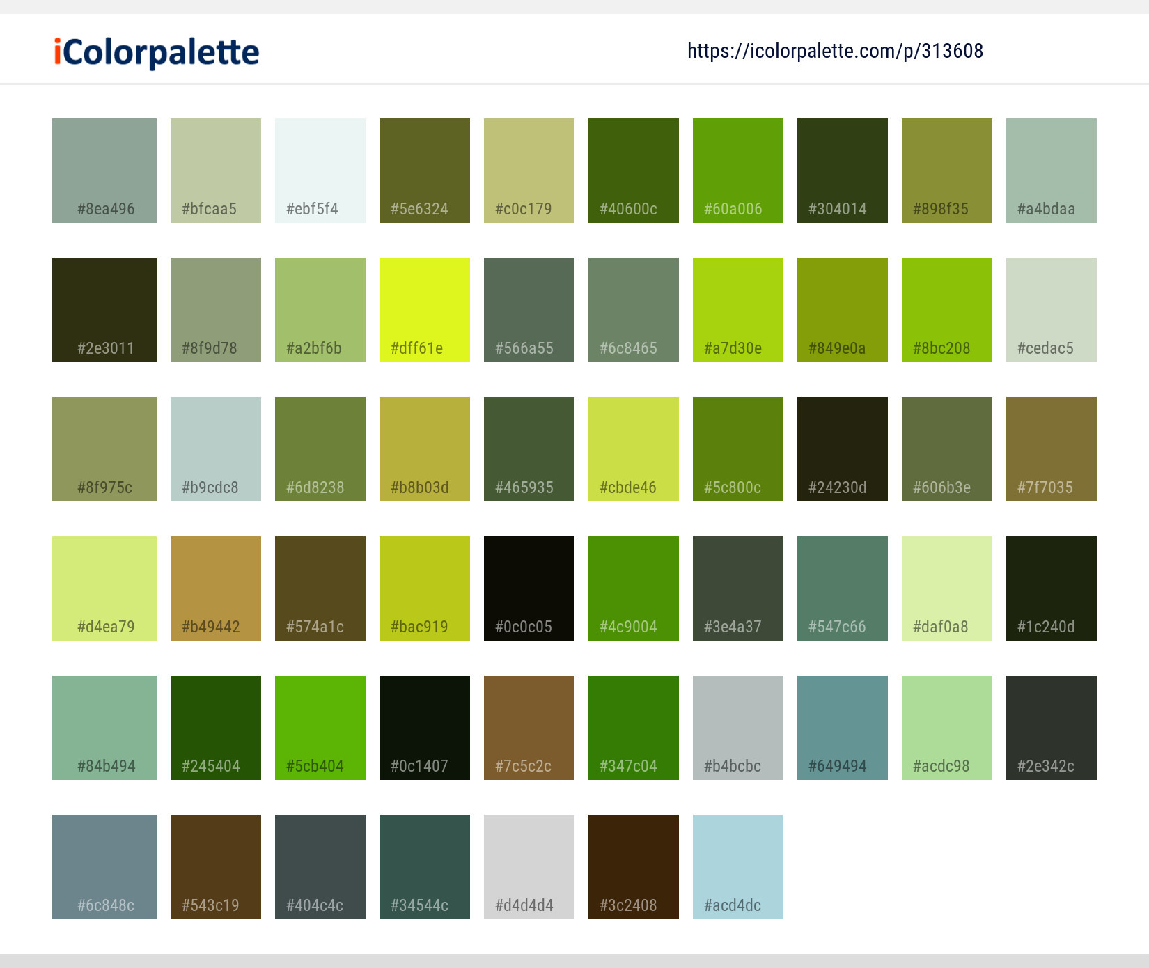 Color Palette Ideas from Leaf Tree Vegetation Image | iColorpalette