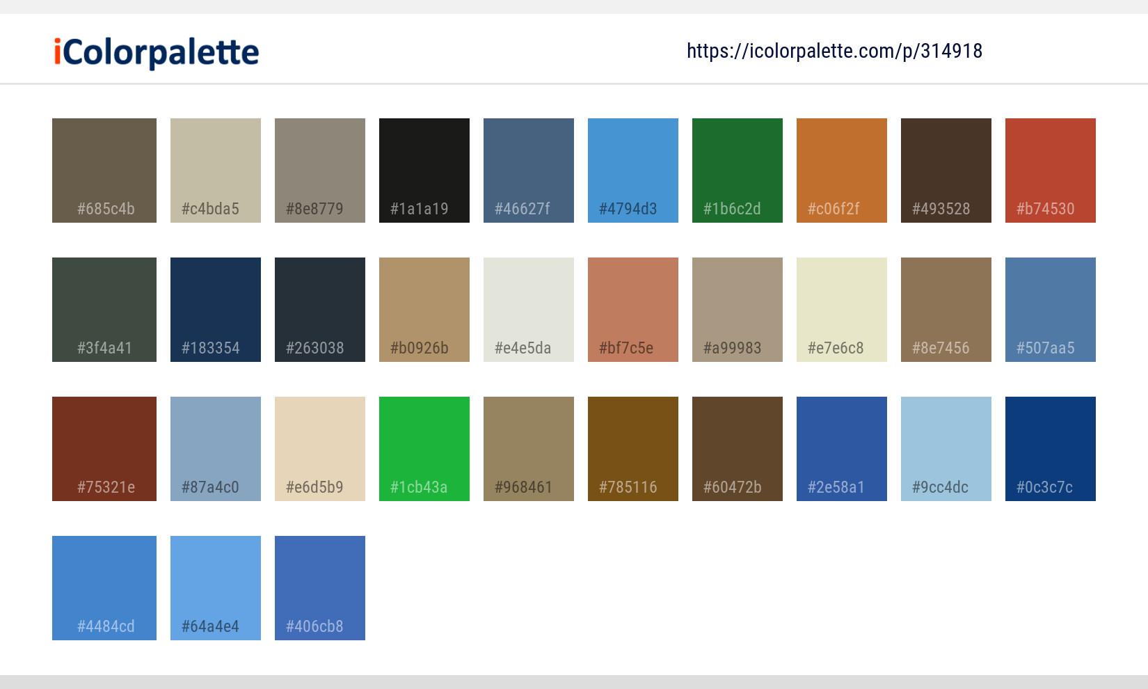 Color Palette Ideas from Bird Duck Water Image | iColorpalette