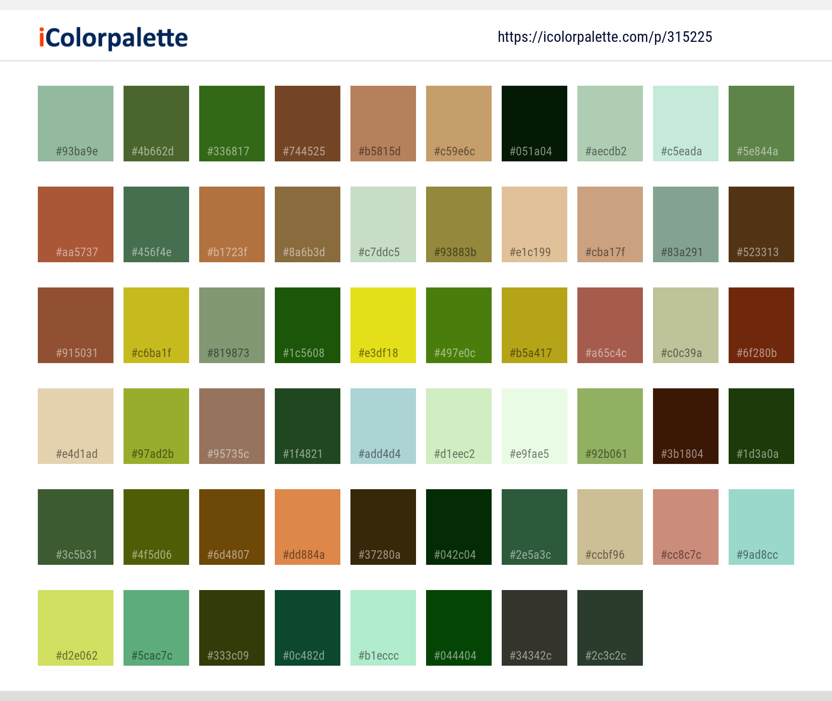 Color Palette Ideas from Flower Daisy Flora Image | iColorpalette