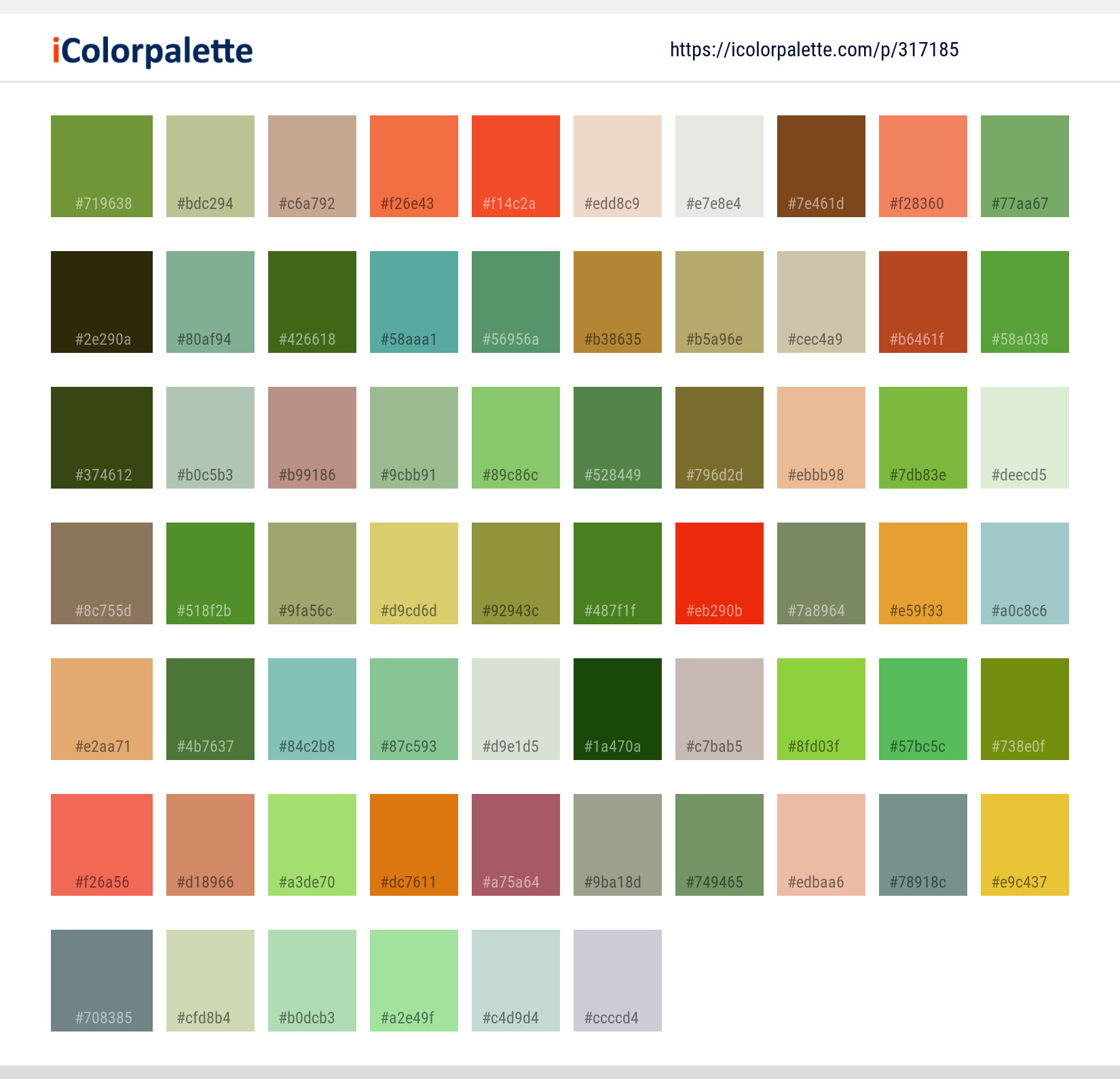 Color Palette Ideas from Flower Watercolor Paint Painting Image ...