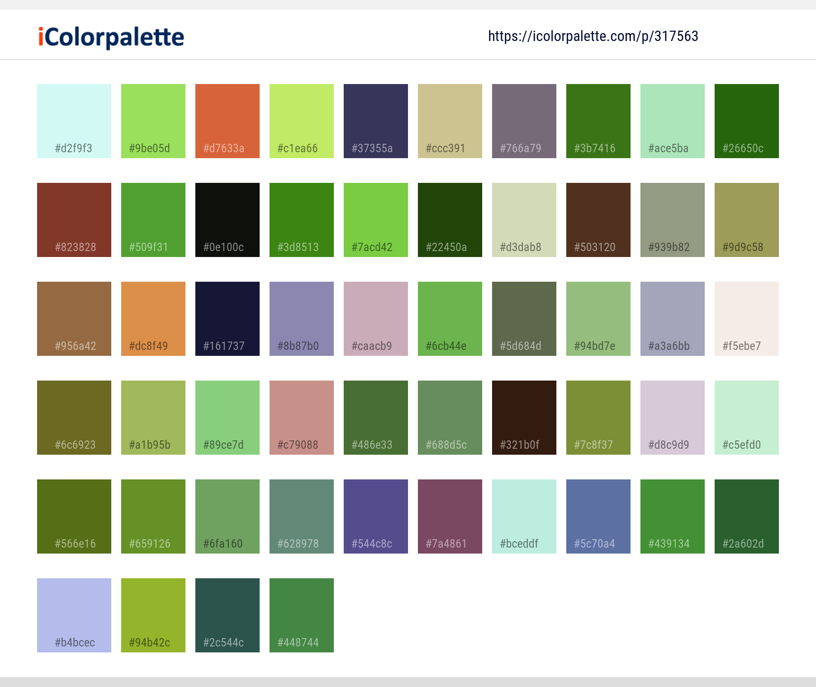 Color Palette Ideas from Dragonfly Insect Dragonflies And Damseflies ...