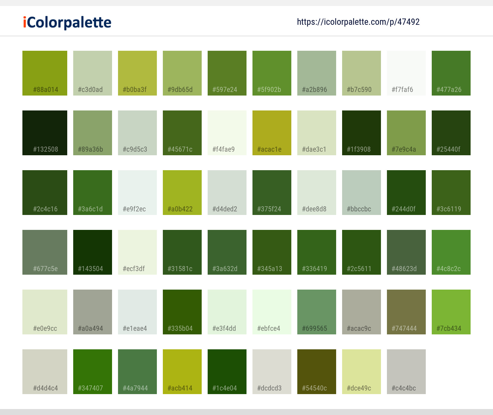Color Palette Ideas from Flower Coneflower Plant Image | iColorpalette
