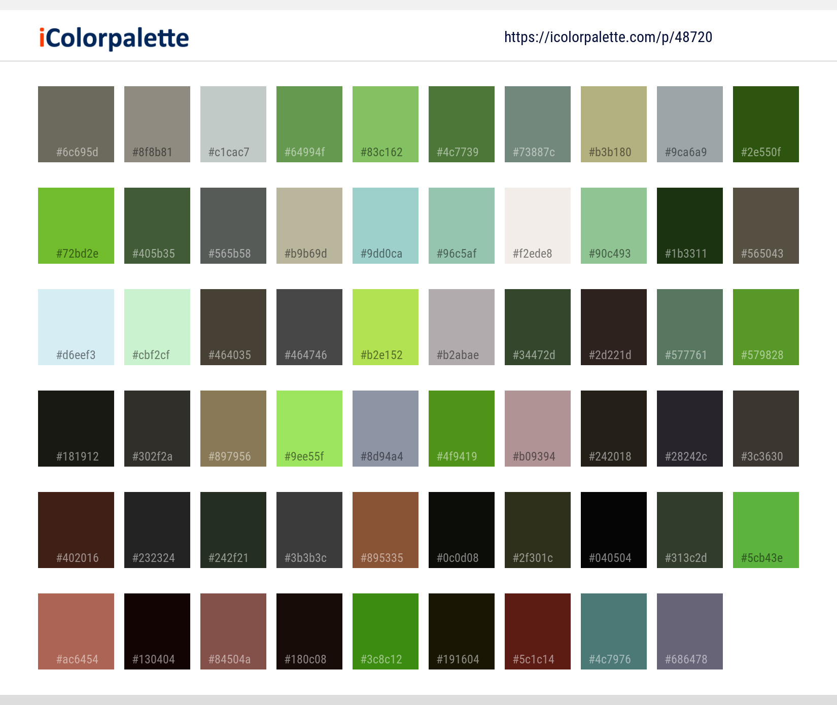 Color Palette Ideas from Tree Forest Rock Image | iColorpalette