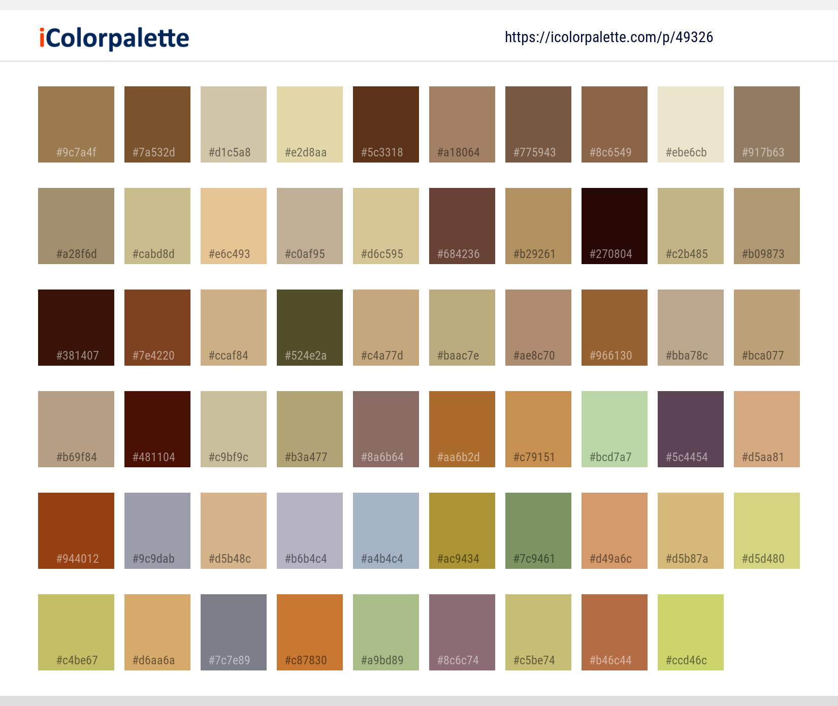Color Palette Ideas from Fauna Mammal Red Fox Image | iColorPalette