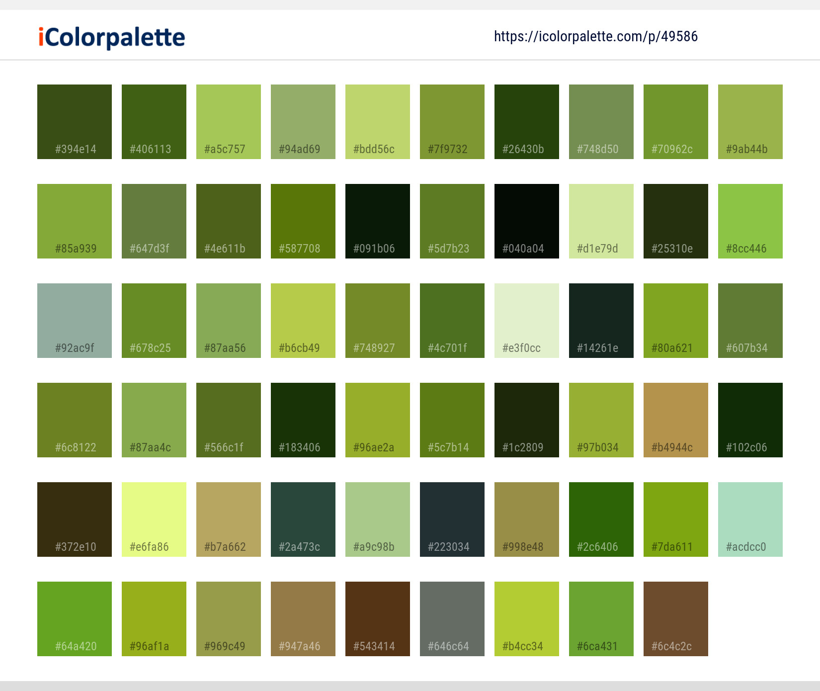 Color Palette Ideas from Vegetation Green Highland Image | iColorpalette