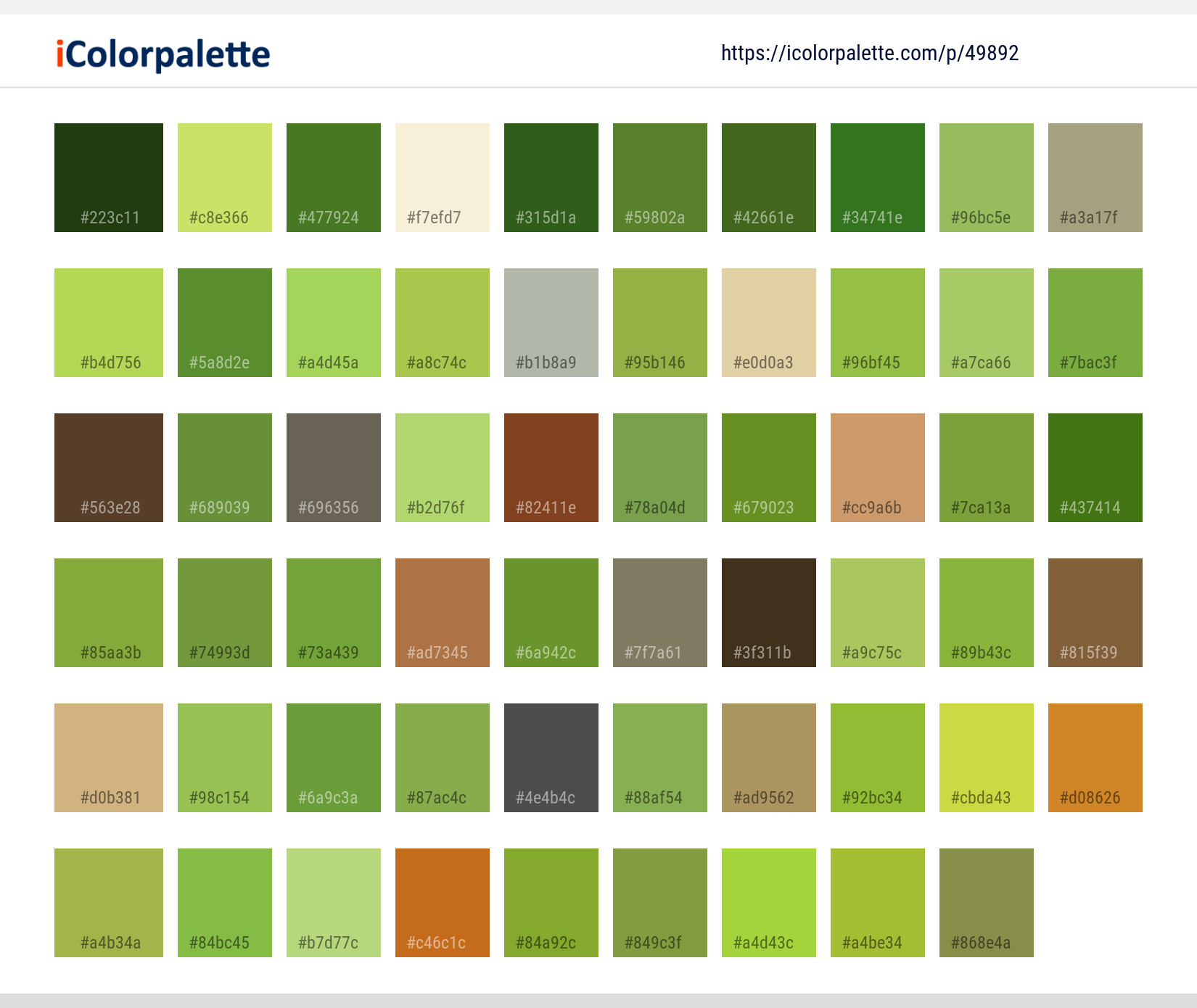 Color Palette Ideas from Insect Pest Fauna Image | iColorpalette