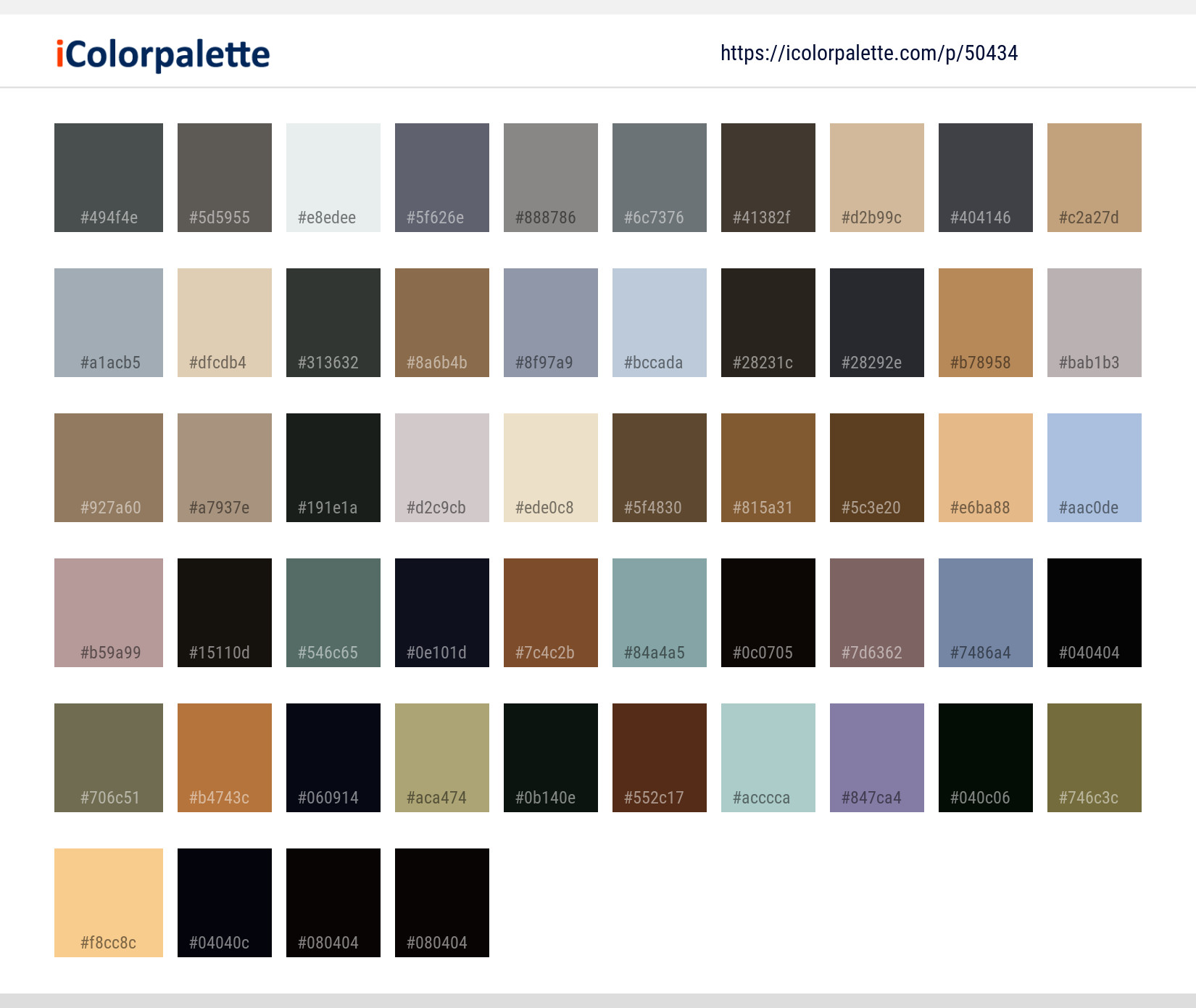 Color Palette Ideas from Leopard Wildlife Terrestrial Animal Image