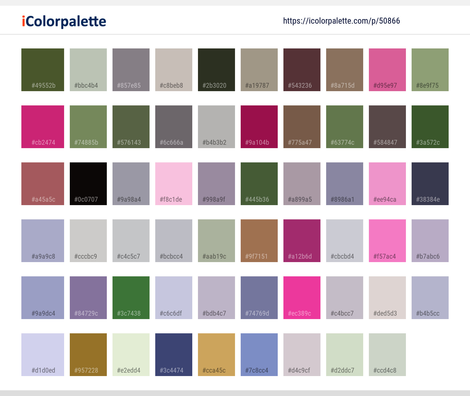 Color Palette Ideas from Mammal Fauna Squirrel Image | iColorpalette