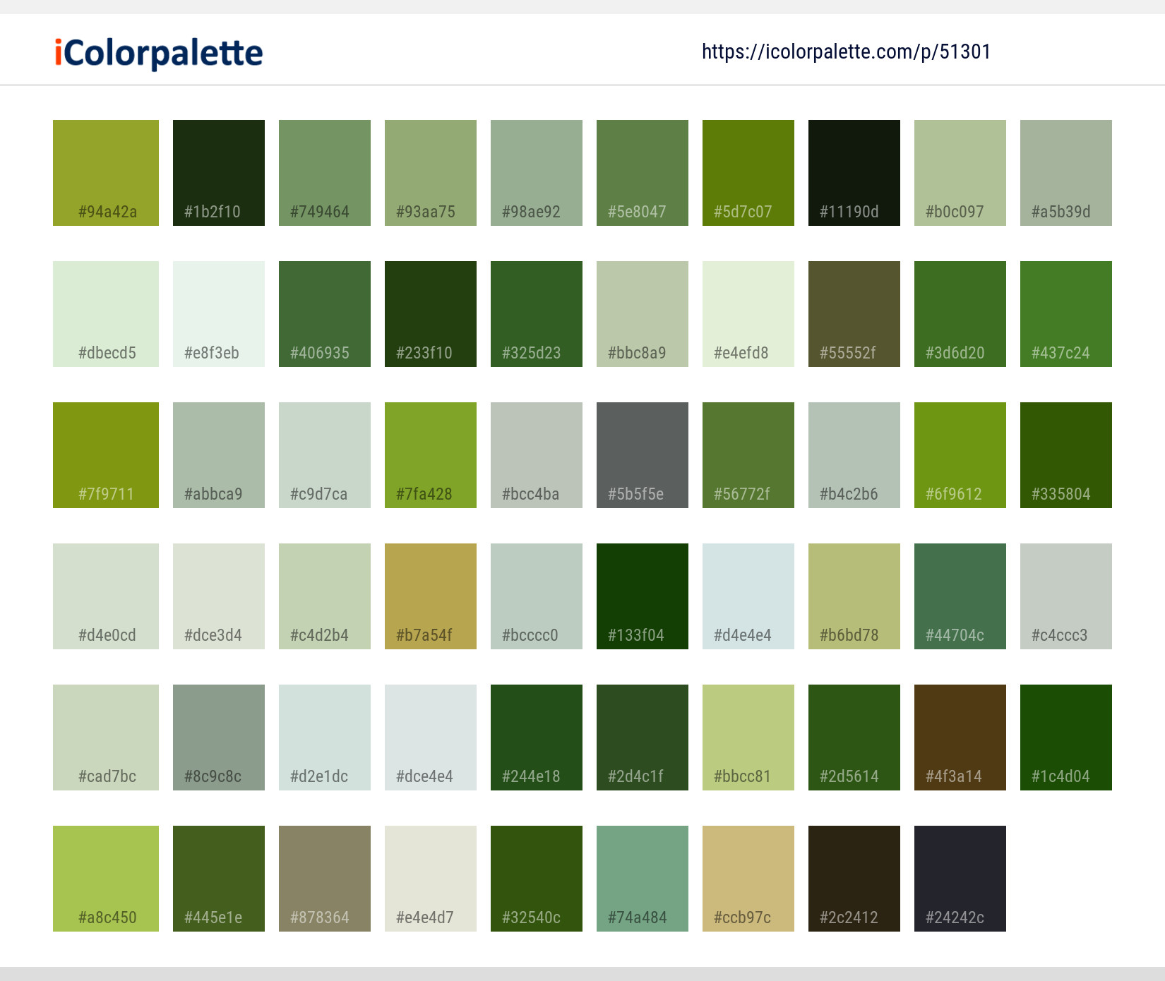 Color Palette Ideas from Flower Coneflower Oxeye Daisy Image ...