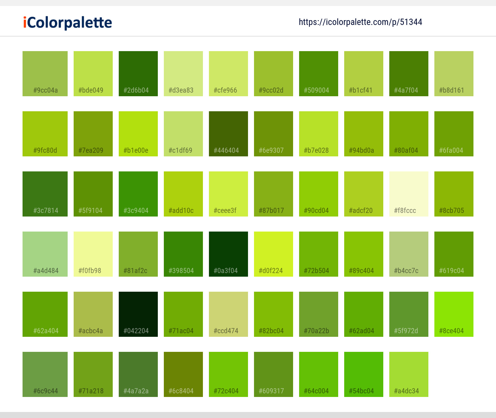 Color Palette Ideas from Leaf Plant Herb Image | iColorpalette