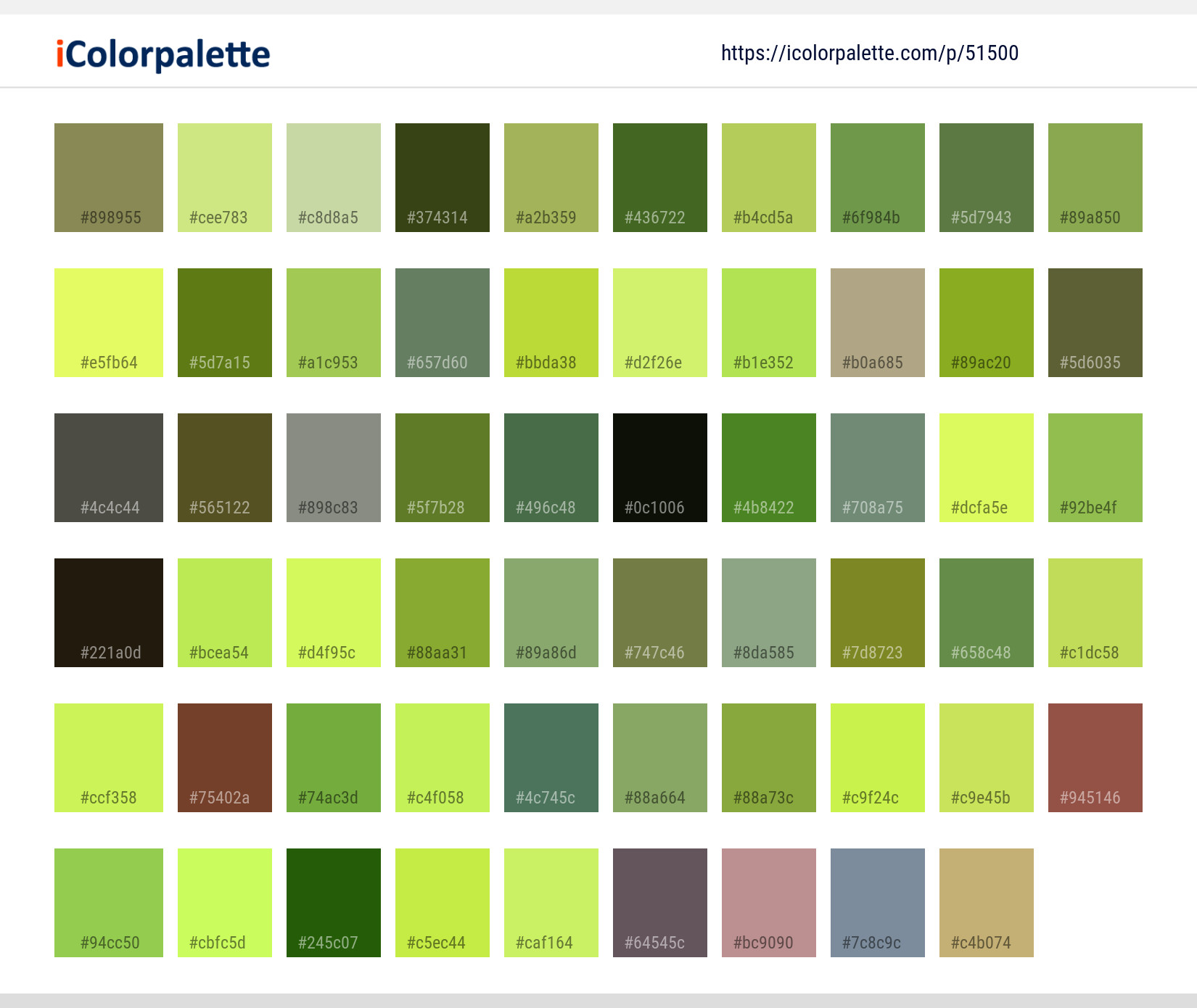 Color Palette Ideas from Wildlife Fauna Mammal Image | iColorpalette