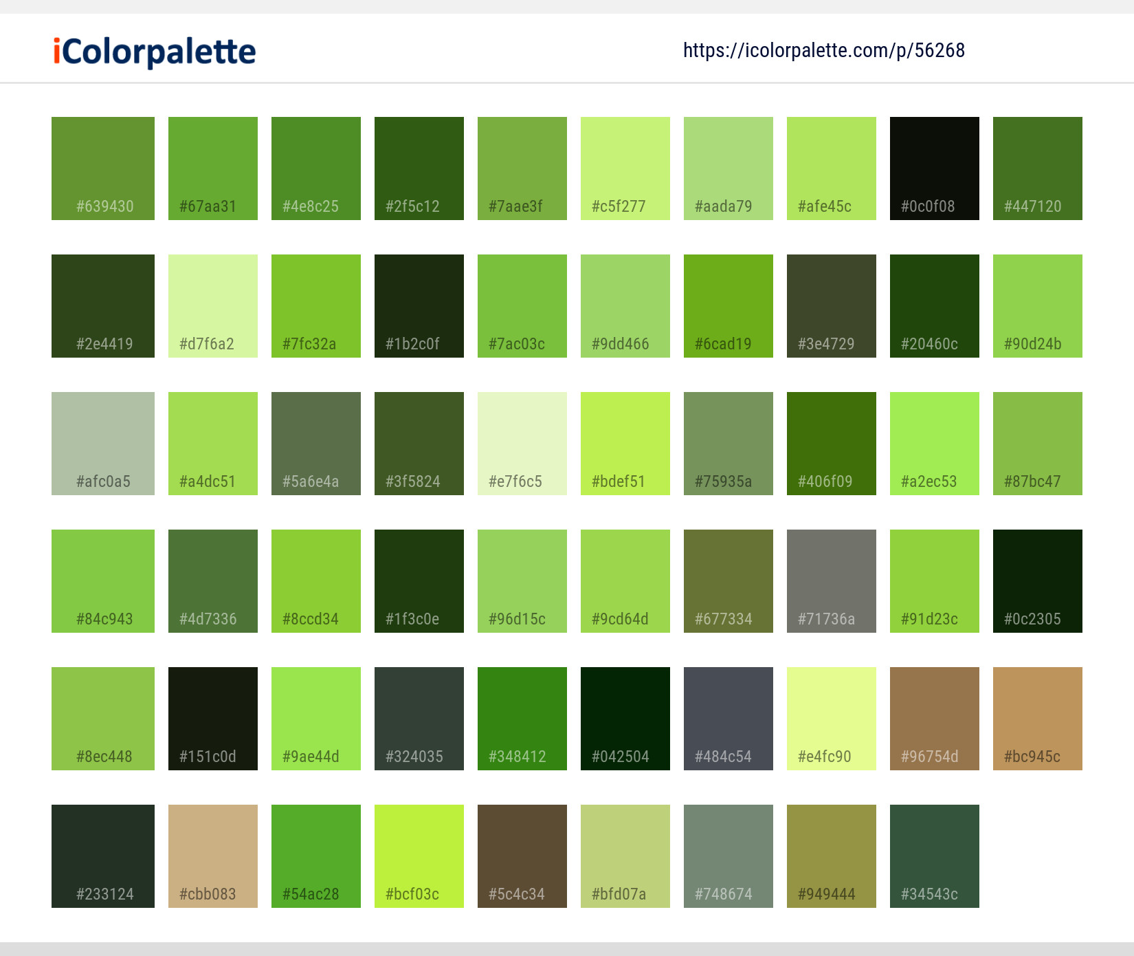 Color Palette Ideas from Vegetation Plant Leaf Image | iColorpalette
