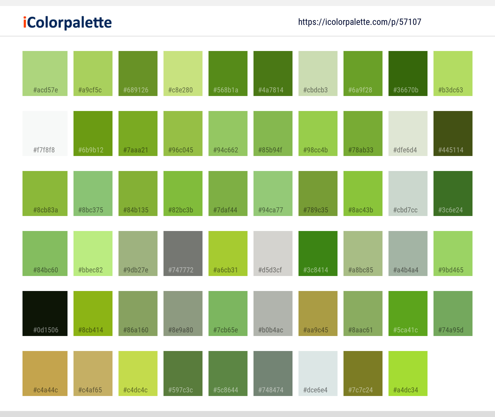 Color Palette Ideas from Plant Basil Herb Image | iColorpalette