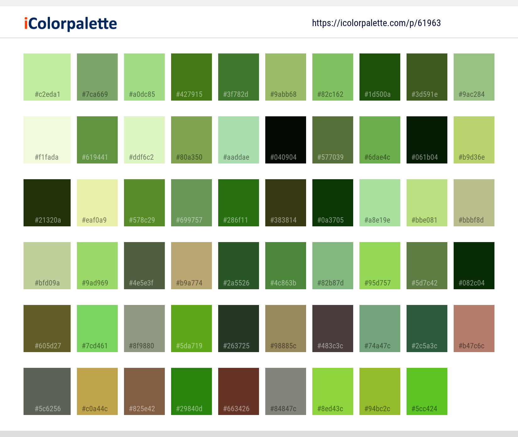Color Palette Ideas from Grass Plant Vegetation Image | iColorpalette