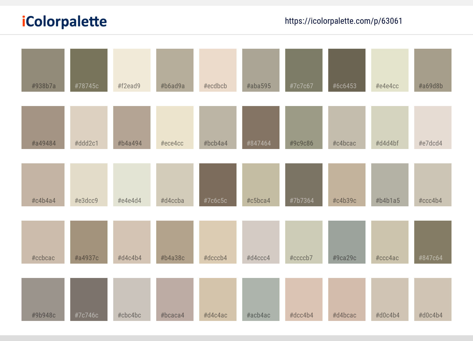 Color Palette Ideas from Sand Material Line Image | iColorpalette