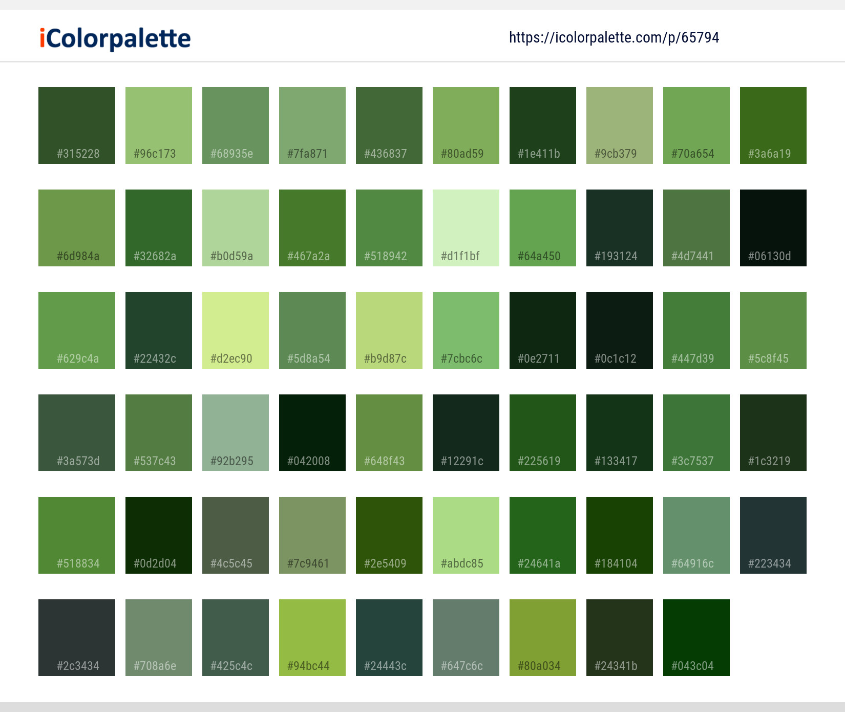 Color Palette Ideas from Vegetation Grassland Ecosystem Image ...