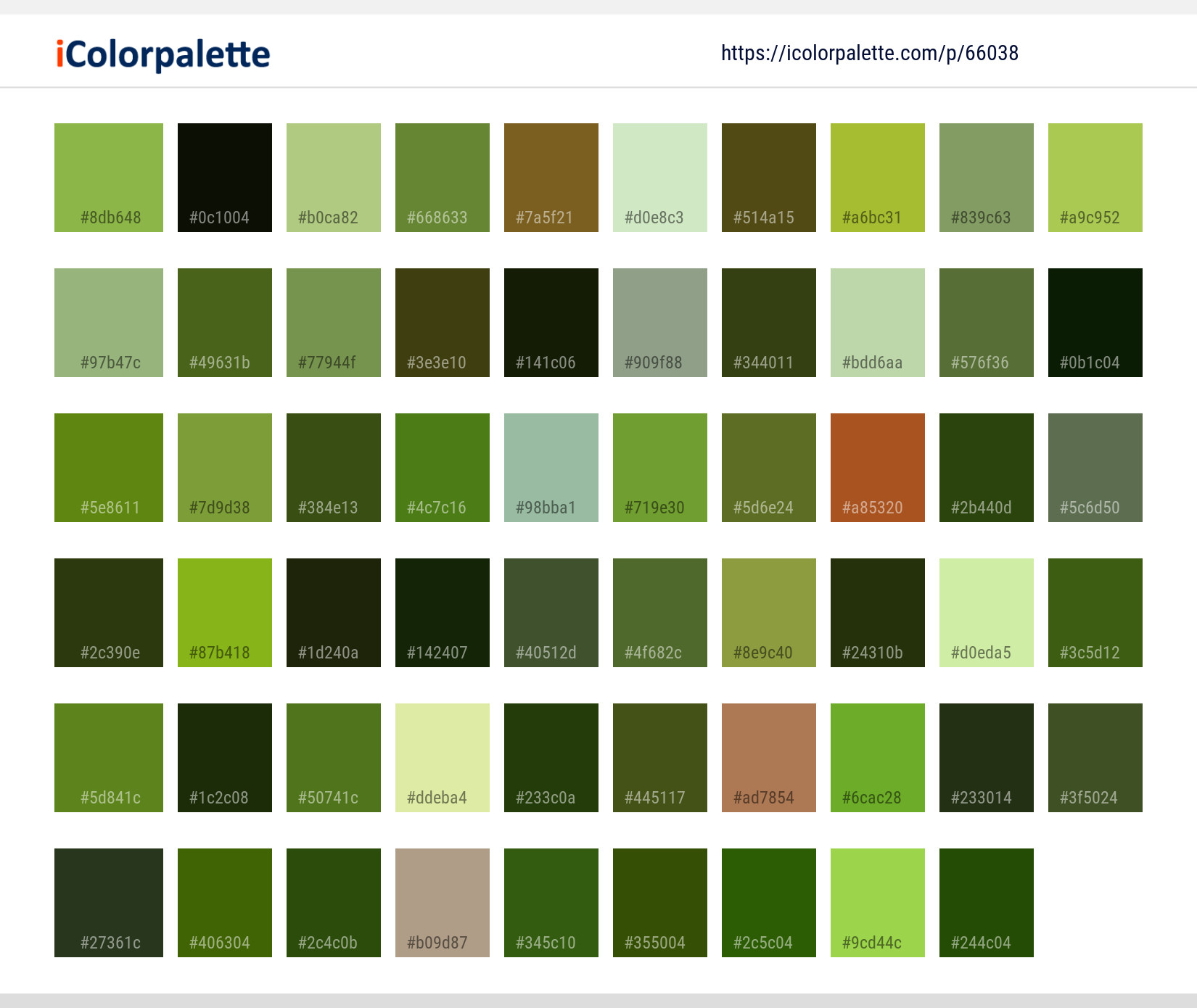 Color Palette Ideas from Pine Family Plant Tree Image | iColorpalette