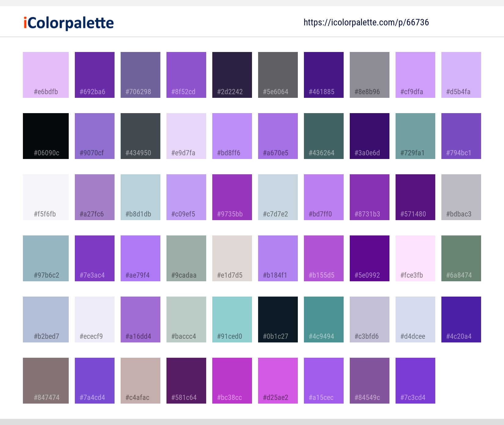 Color Palette Ideas from Violet Flower Purple Image | iColorpalette