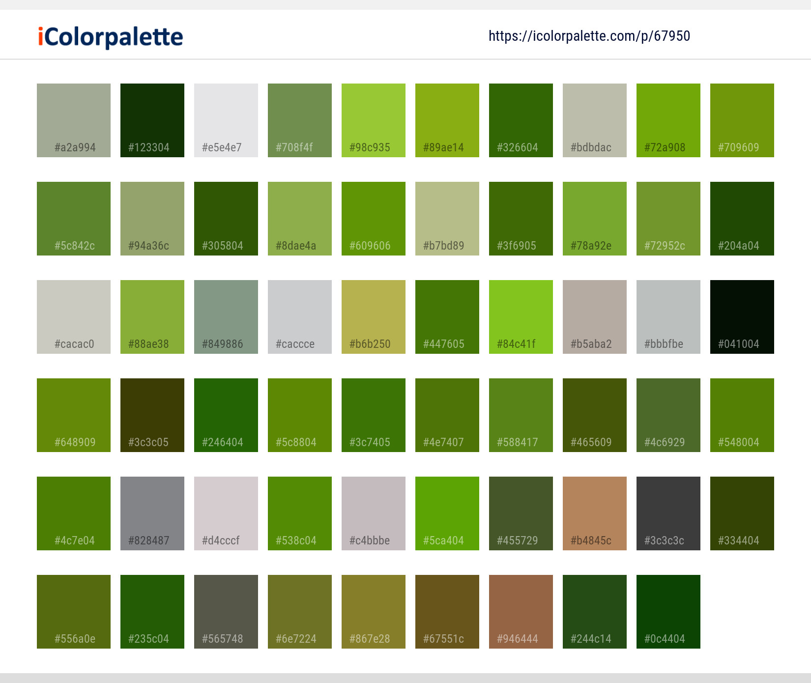 Color Palette Ideas from Plant Cow Parsley Flower Image | iColorpalette