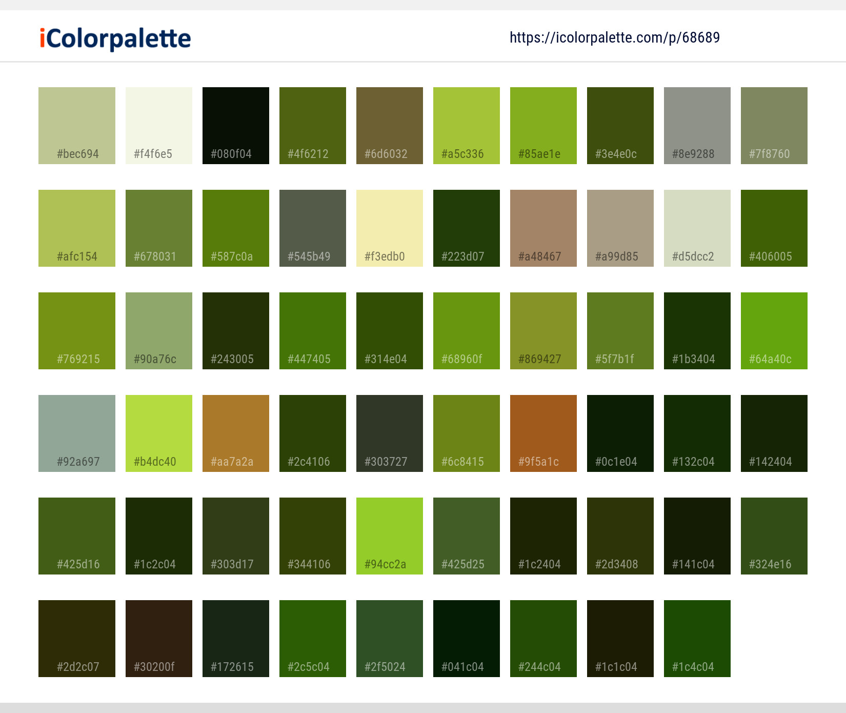 Color Palette Ideas from Insect Dragonfly Dragonflies And Damseflies ...