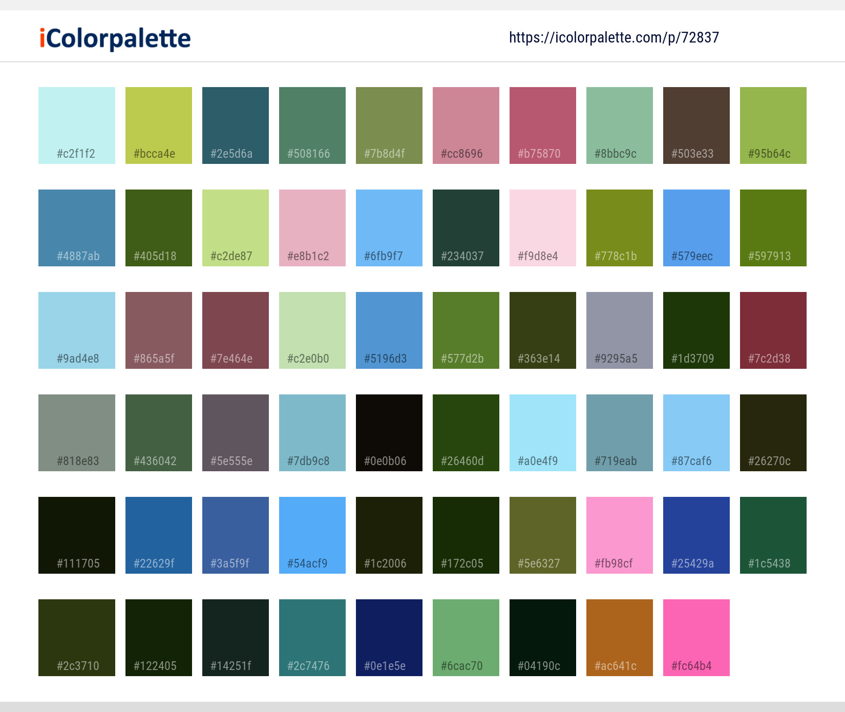 Color Palette Ideas from Pink Flower Flora Image | iColorpalette