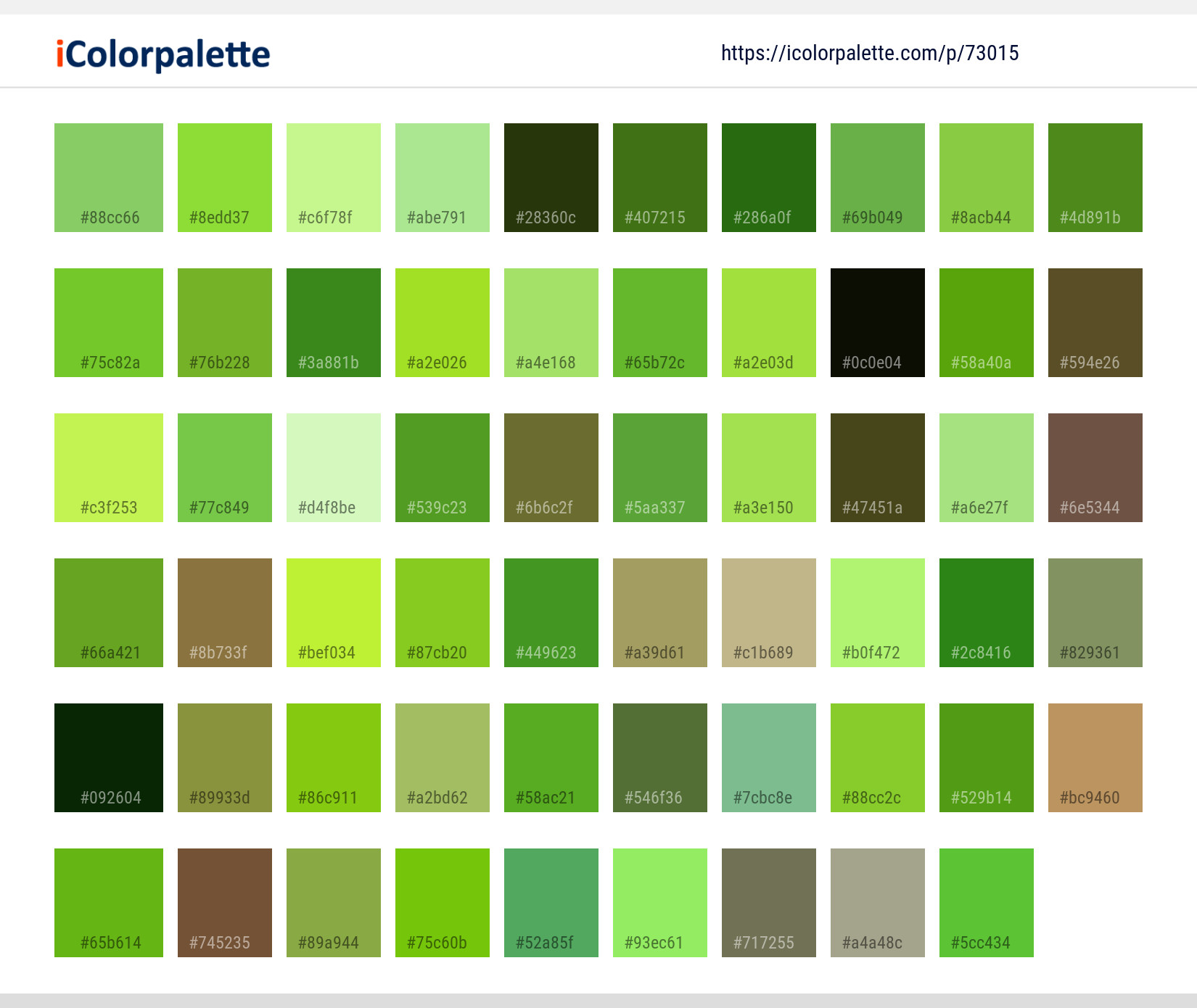 Color Palette Ideas from Plant Leaf Grass Image | iColorpalette