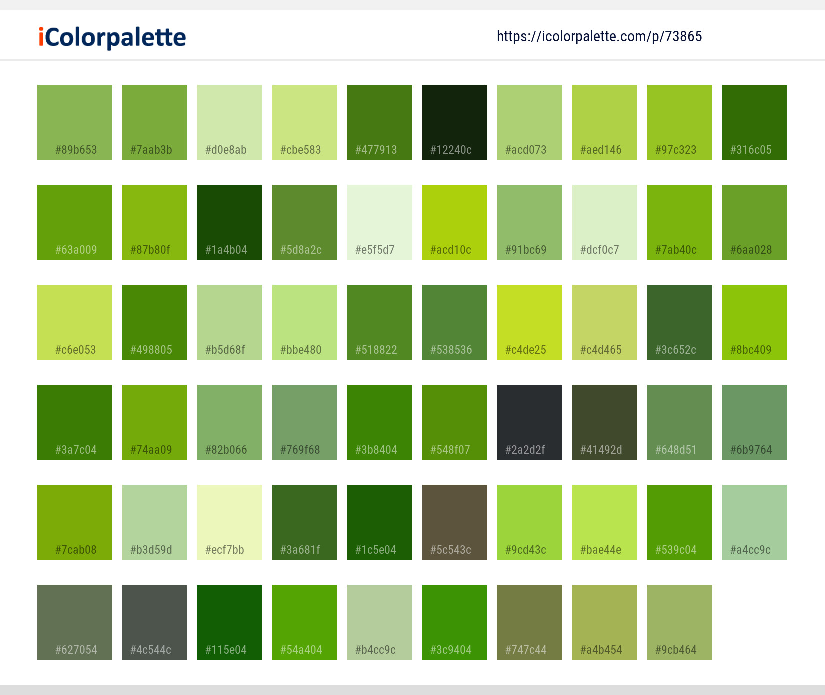 Color Palette Ideas from Leaf Vegetable Spinach Image | iColorpalette