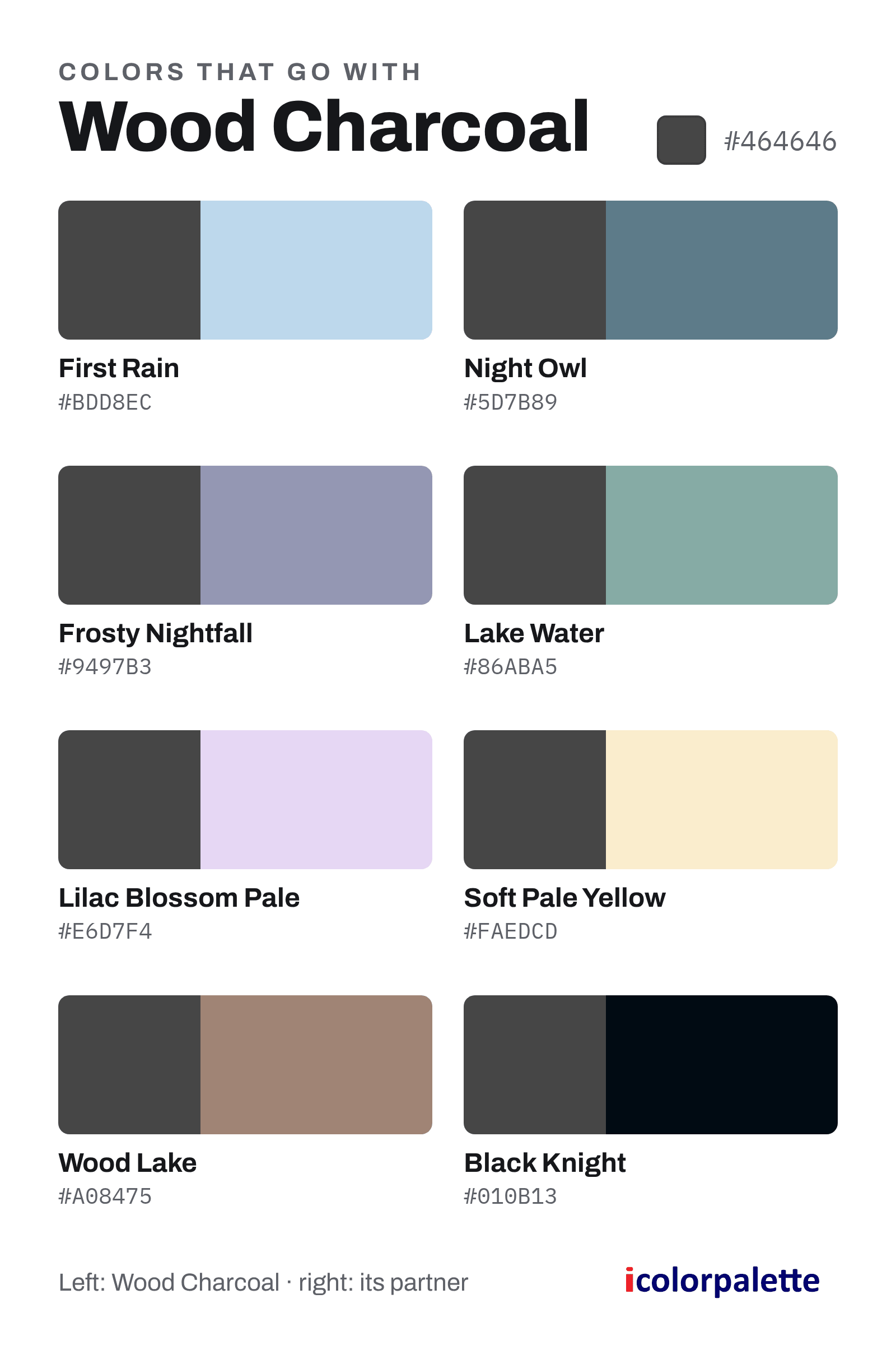 nuance7番 Wood Charcoal Color (#464646) — Hex, RGB & Palettes | iColorPalette