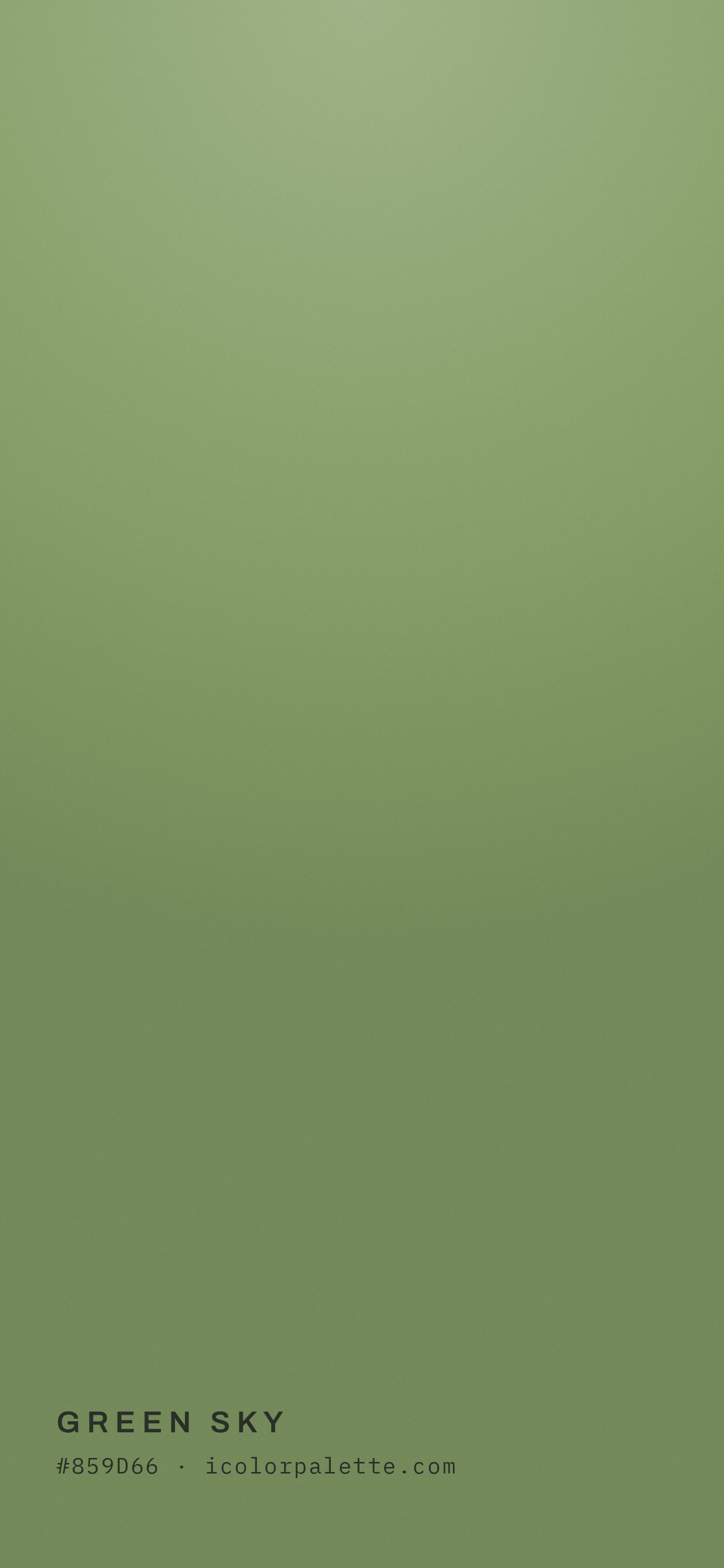 Green Sky Color (#859D66) — Hex, RGB & Palettes | iColorPalette
