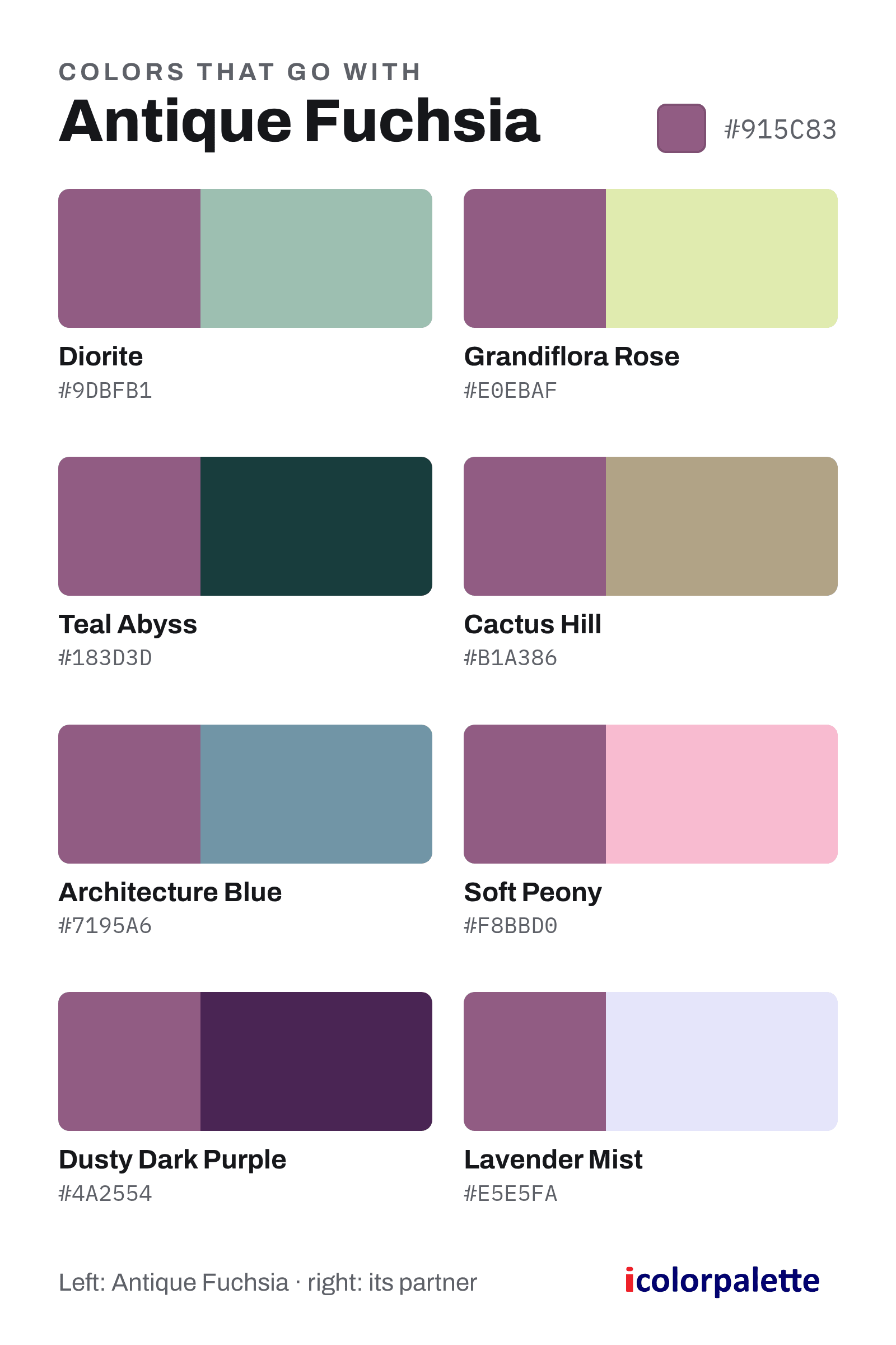 Antique Fuchsia Color (#915C83) — Hex, RGB & Palettes | iColorPalette