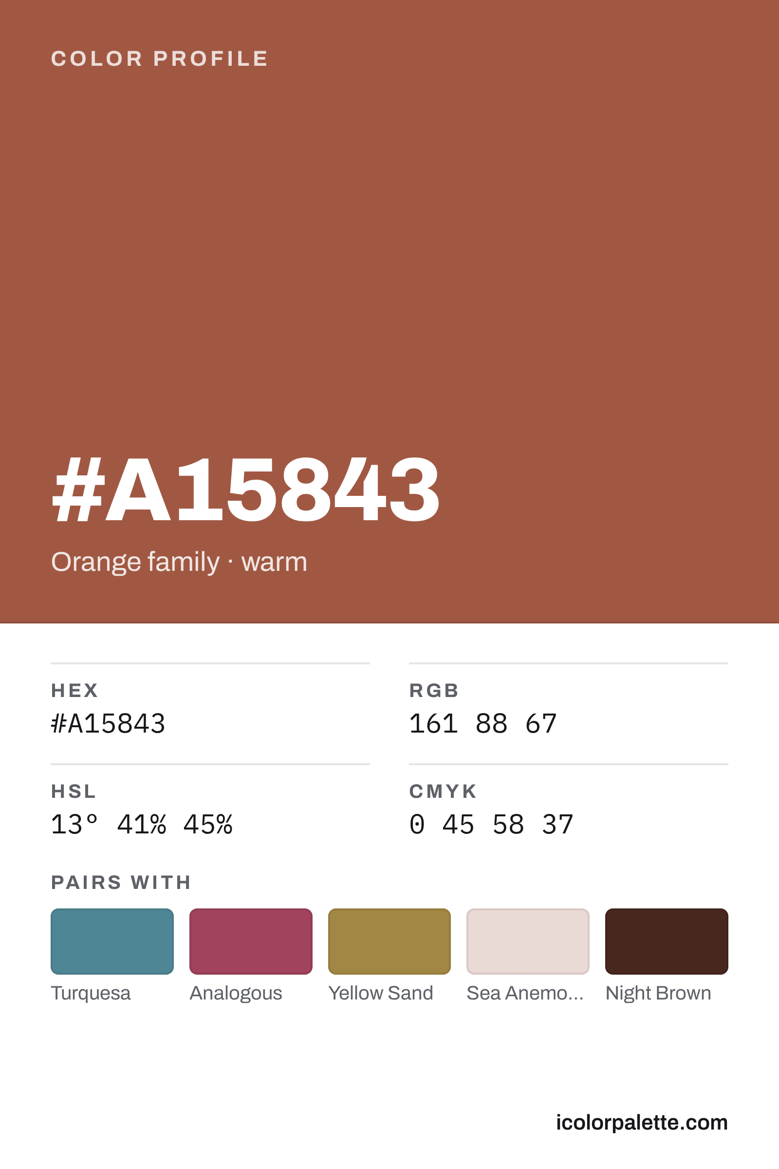 A15843 Hex Code (Ceramic Brown Shade) — RGB, CMYK & HSL Color