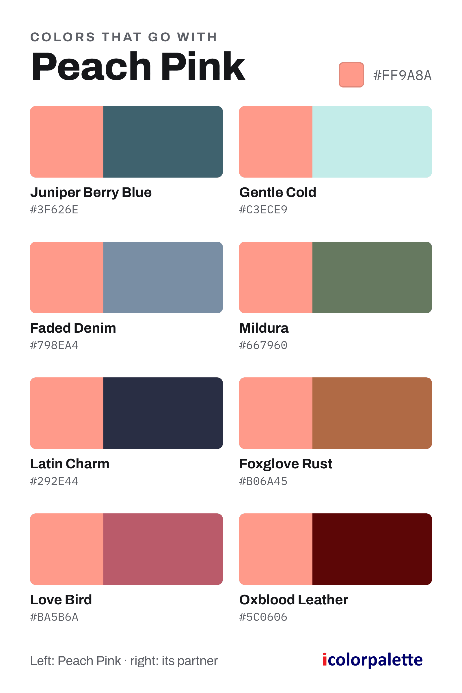 Peach Pink Color (#FF9A8A) — Hex, RGB & Palettes | iColorPalette