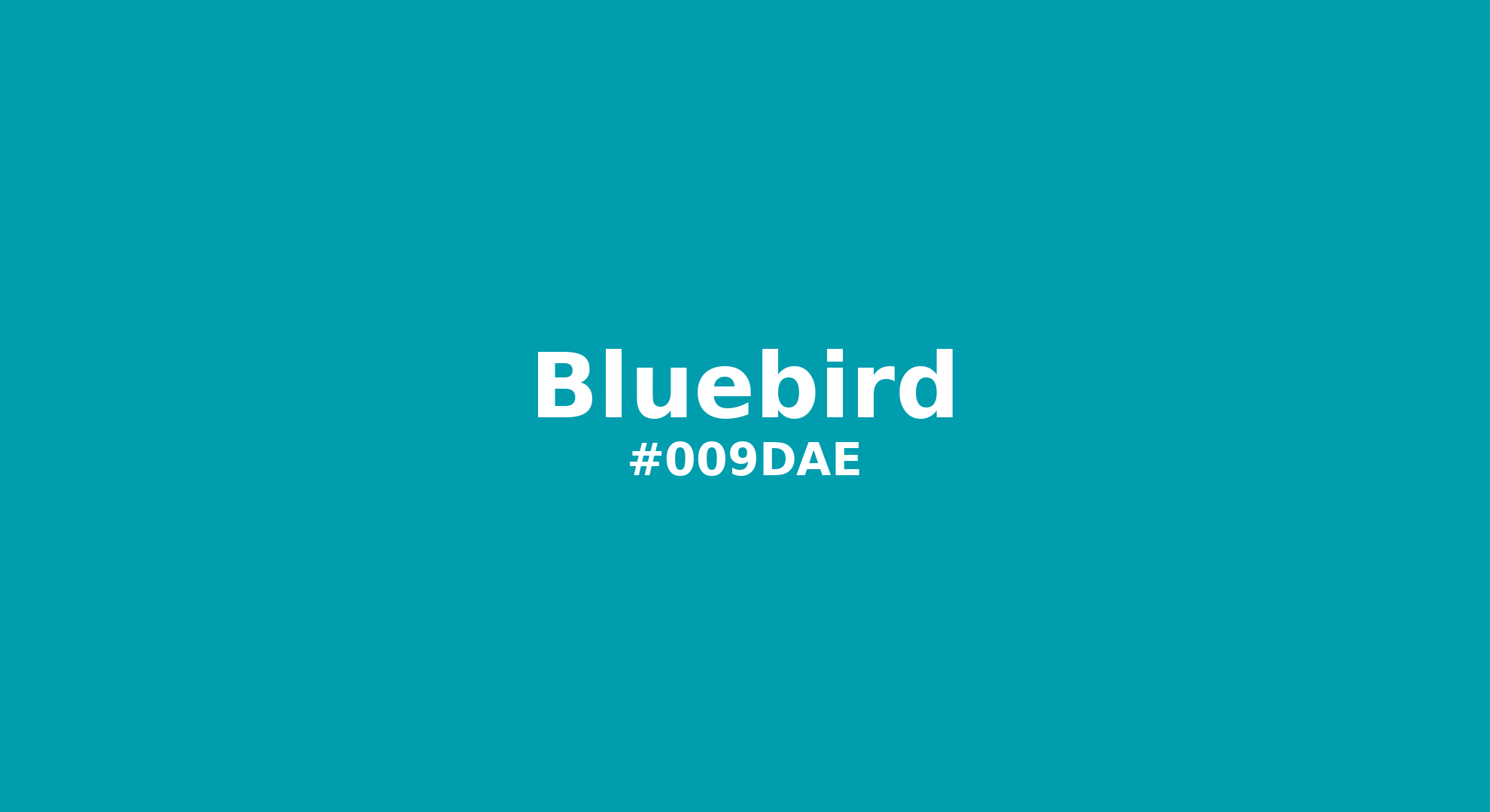 Hex Color #009dae | Printing Match PANTONE 16-4834 TCX | Color
