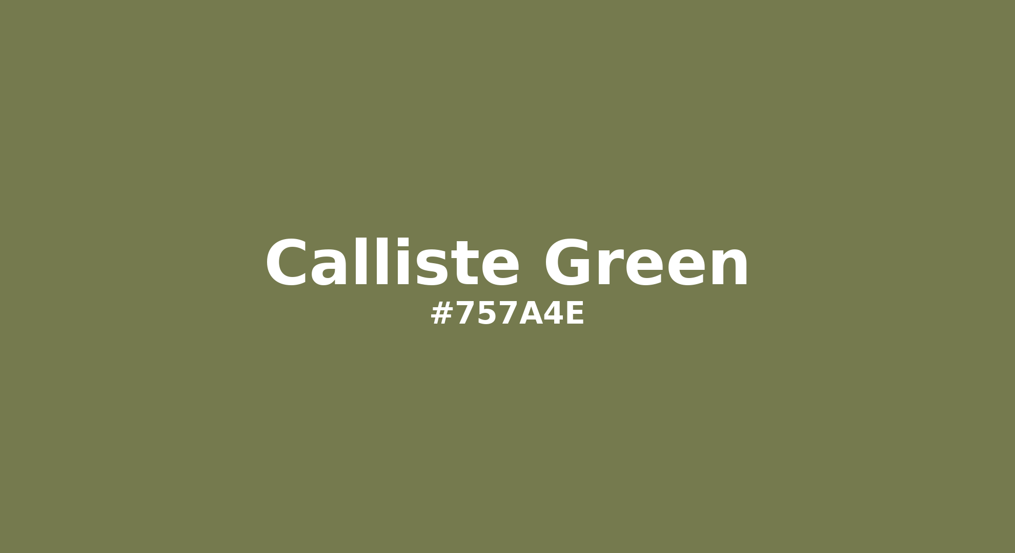 Discover the beautiful color name "Calliste Green" for Pantone 18-0324 Tcx Calliste Green Color | Hex color Code #757a4e. Perfect color naming reference for designers and developers. #colorname #colortheory #design #757a4e