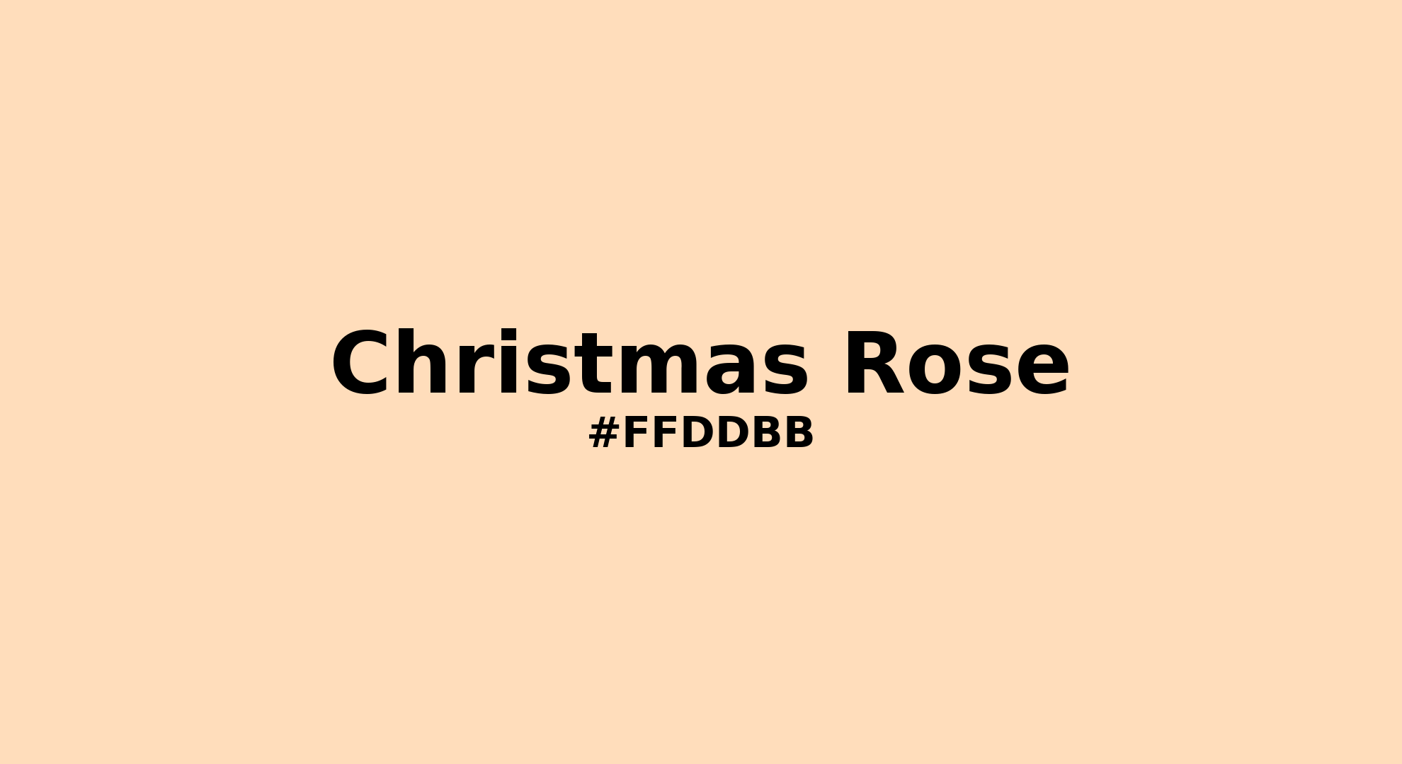 Discover the beautiful color name "Christmas Rose" for  Christmas Rose Color | Hex ffddbb. Perfect color naming reference for designers and developers. #colorname #colortheory #design #ffddbb