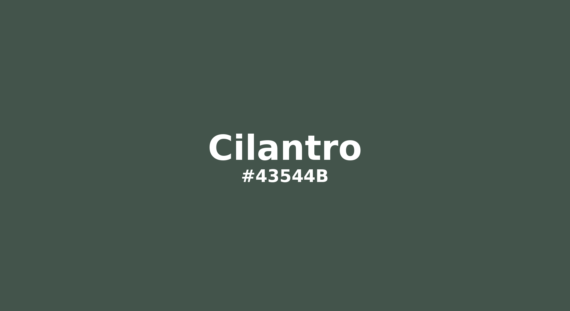 Discover the beautiful color name "Cilantro" for Pantone 19-5621 Tcx Cilantro Color | Hex color Code #43544b. Perfect color naming reference for designers and developers. #colorname #colortheory #design #43544b