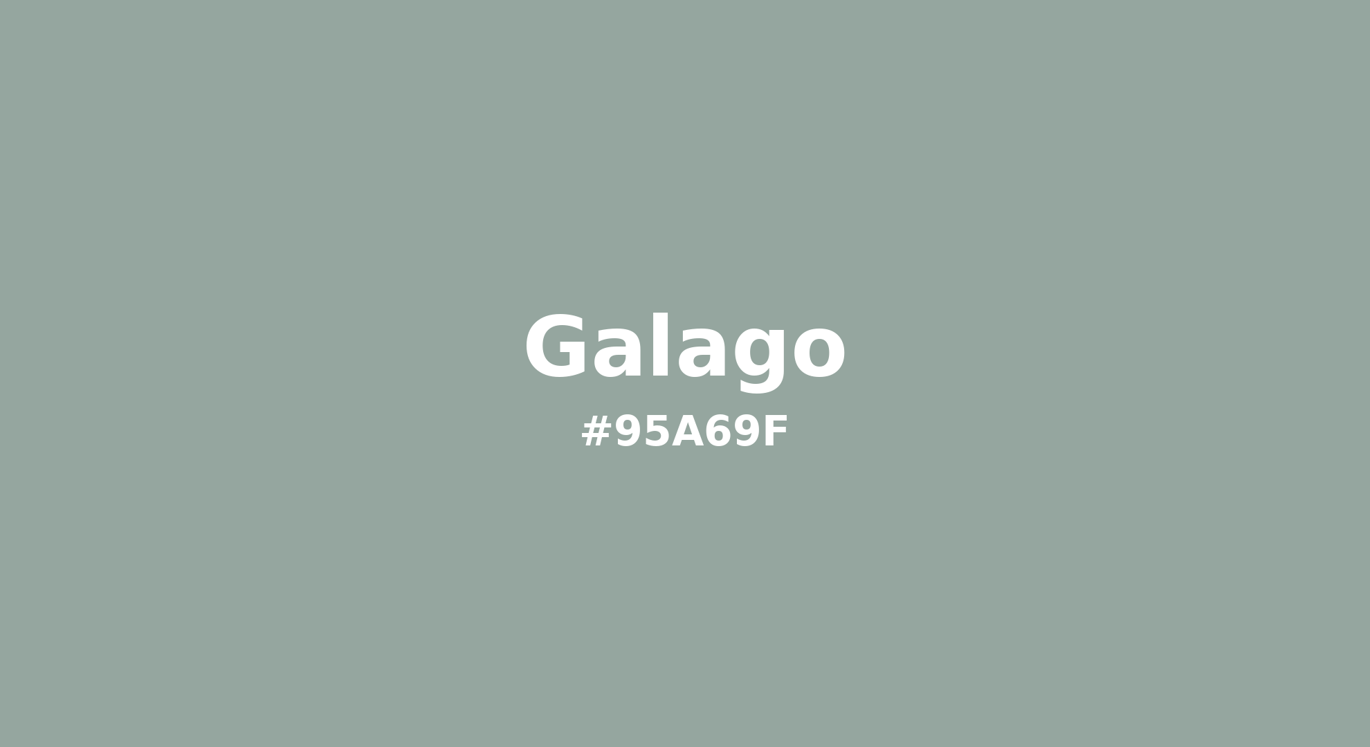 Discover the beautiful color name "Galago" for Pantone 16-5304 Tcx Jadeite Color | Hex color Code #95a69f. Perfect color naming reference for designers and developers. #colorname #colortheory #design #95a69f