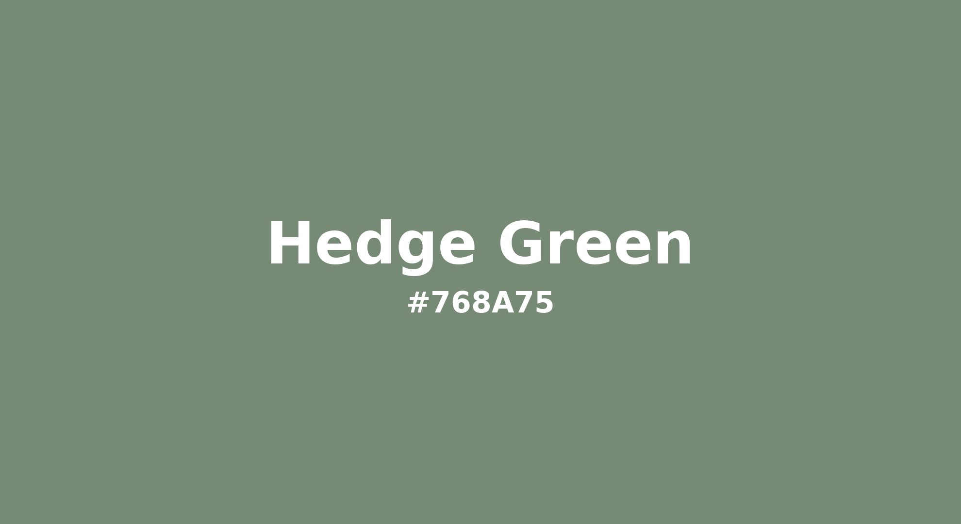 Hedge Green | Printing Match PANTONE 17-6323 TCX | Color